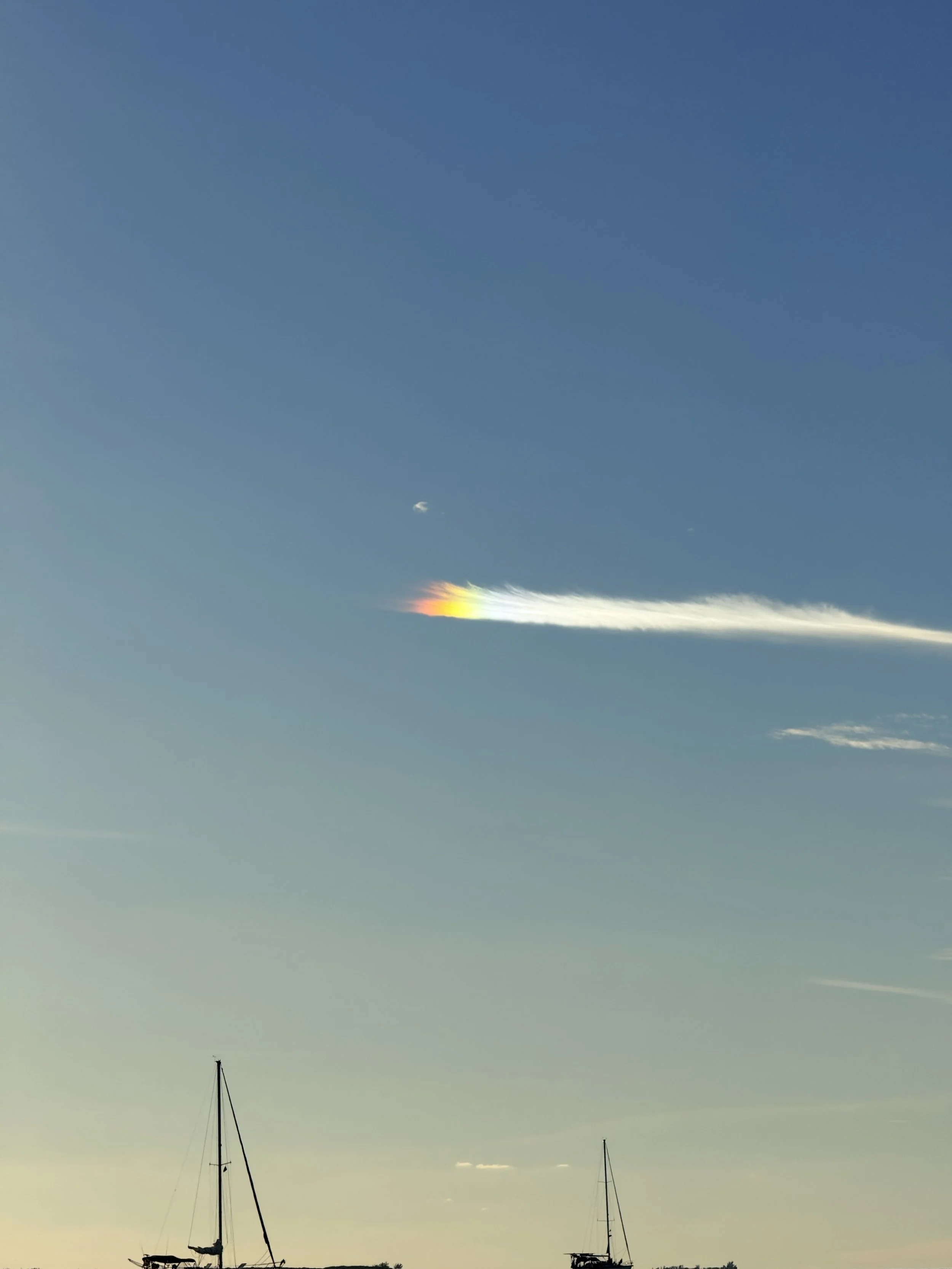 Random rainbow treat!