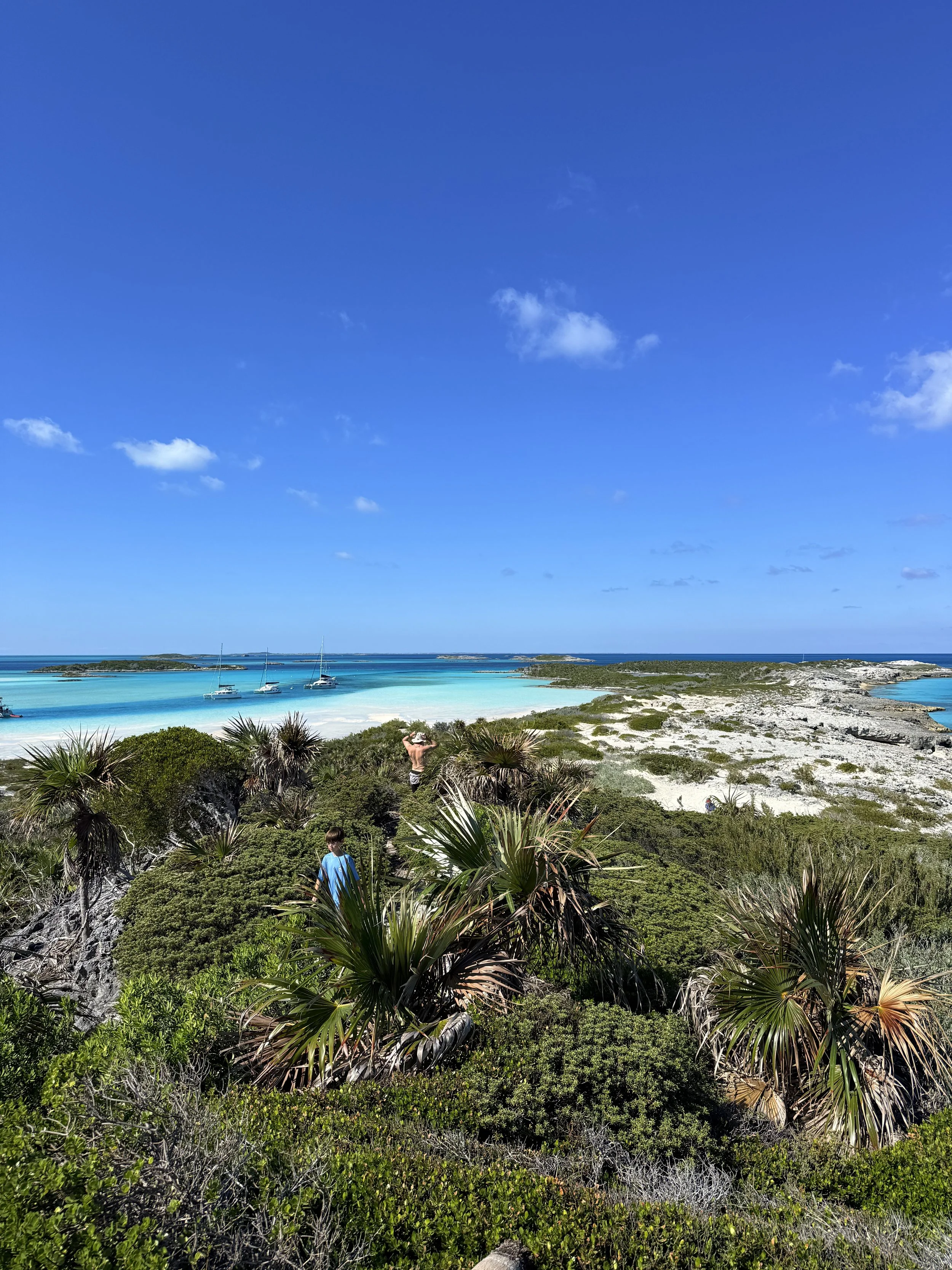 views from Boo Boo Hill