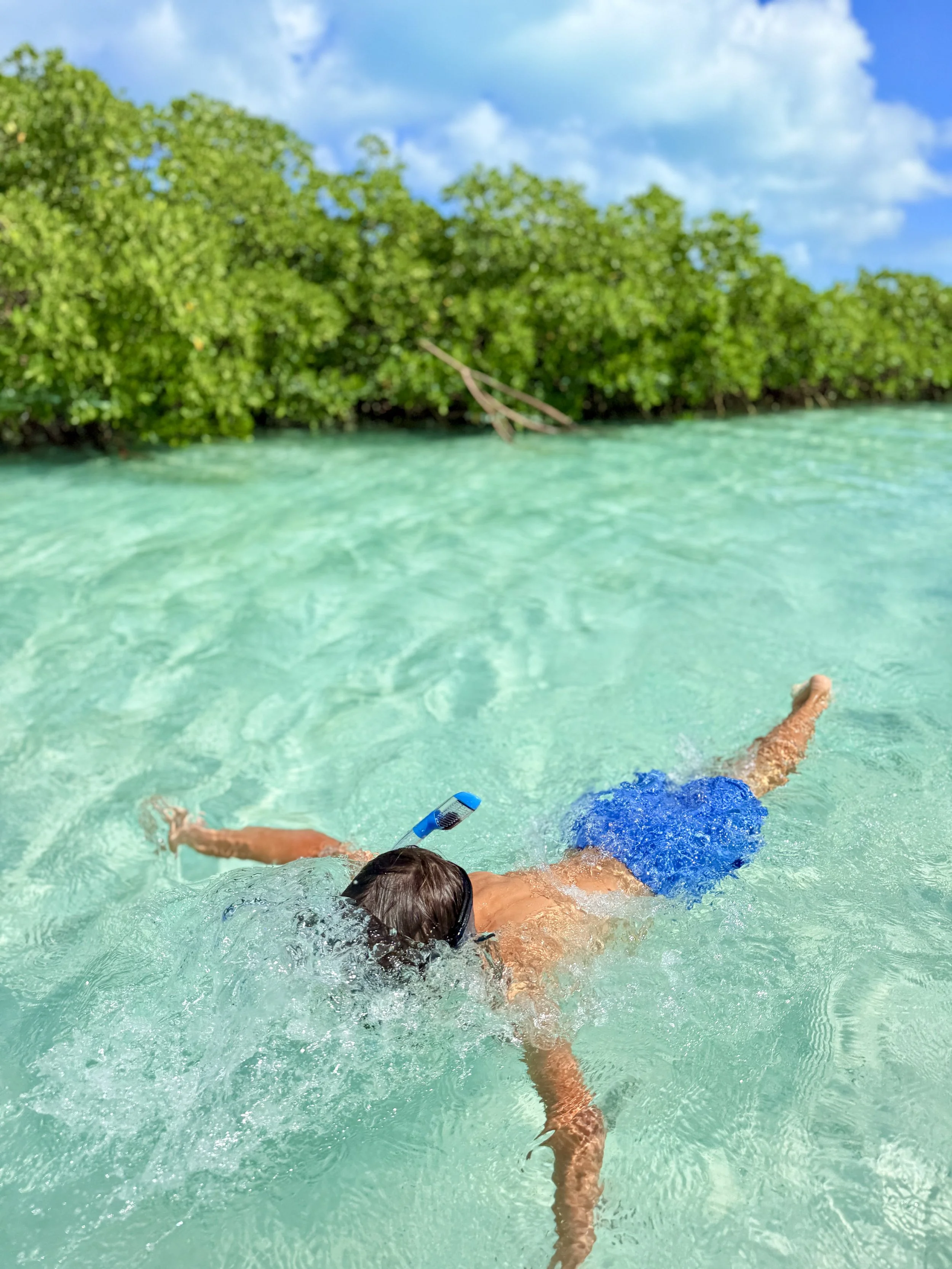 More Georgetown and Exuma Photos  