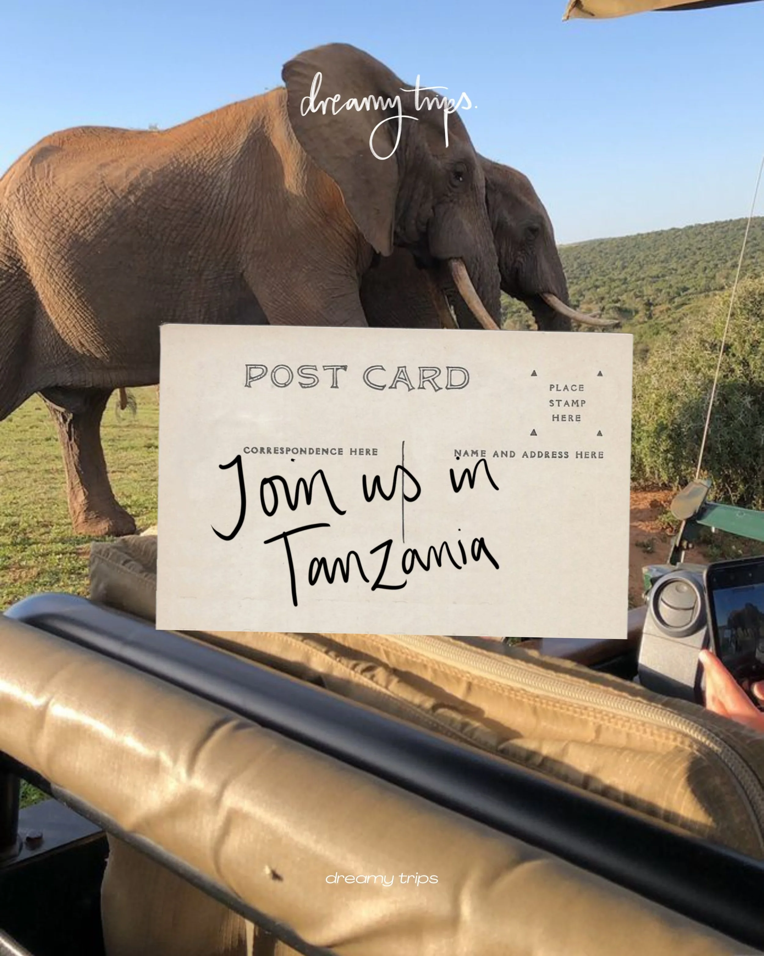 Luxury safari. Golden sunsets. Bush dinners. Morning game drives. The kind of trip that somehow ends up even better than you imagined.

Our Tanzania trip has very limited availability, and once it&rsquo;s full, it&rsquo;s gone.

If you&rsquo;ve been 