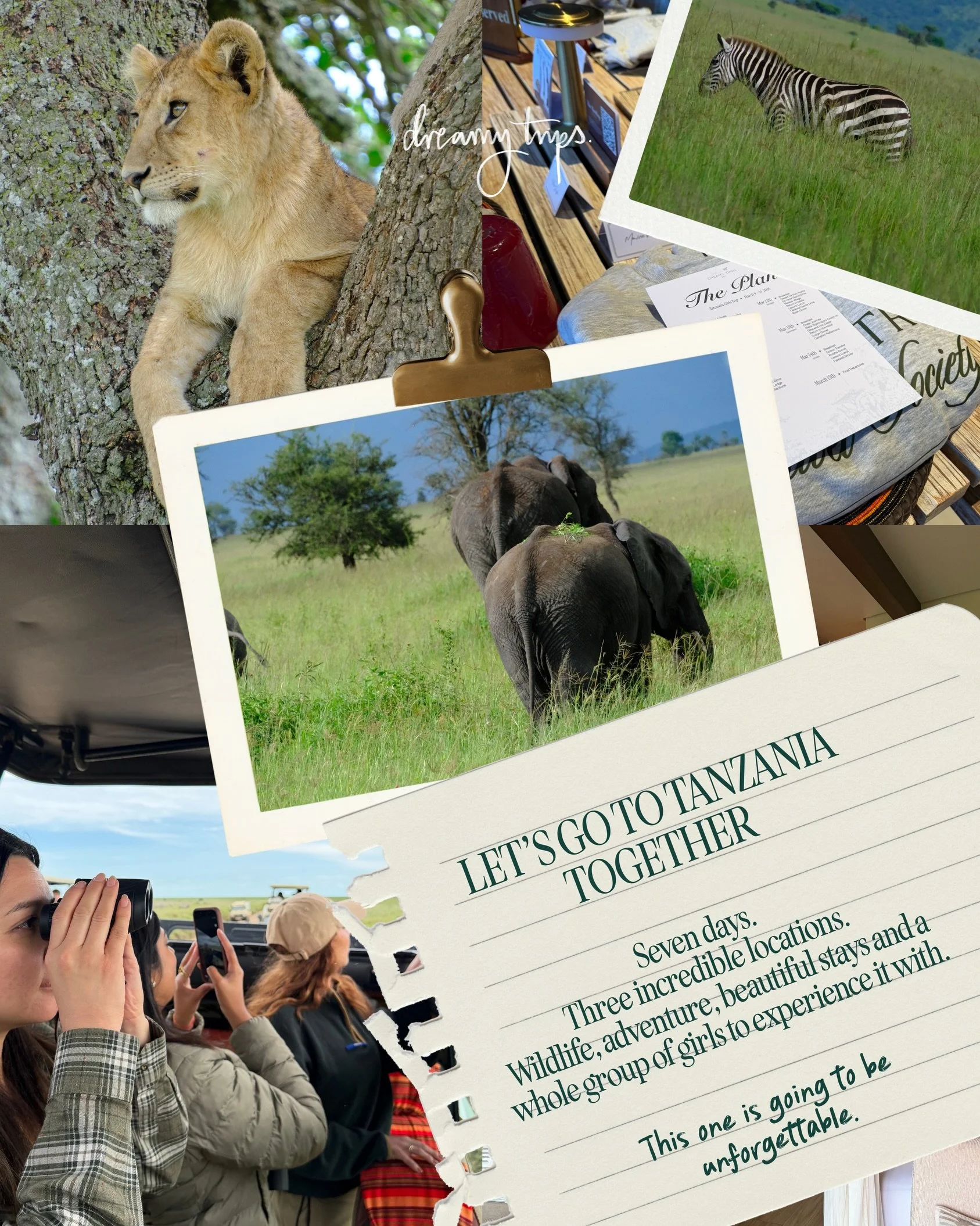 If u&rsquo;ve been saying &ldquo;I really want to do a safari one day&rdquo; for approximately five years&hellip; this is ur sign. 🫶🏻

Our Tanzania trip is 7 days and 6 nights across Arusha, the Serengeti and Ngorongoro, with luxury safari lodges, 