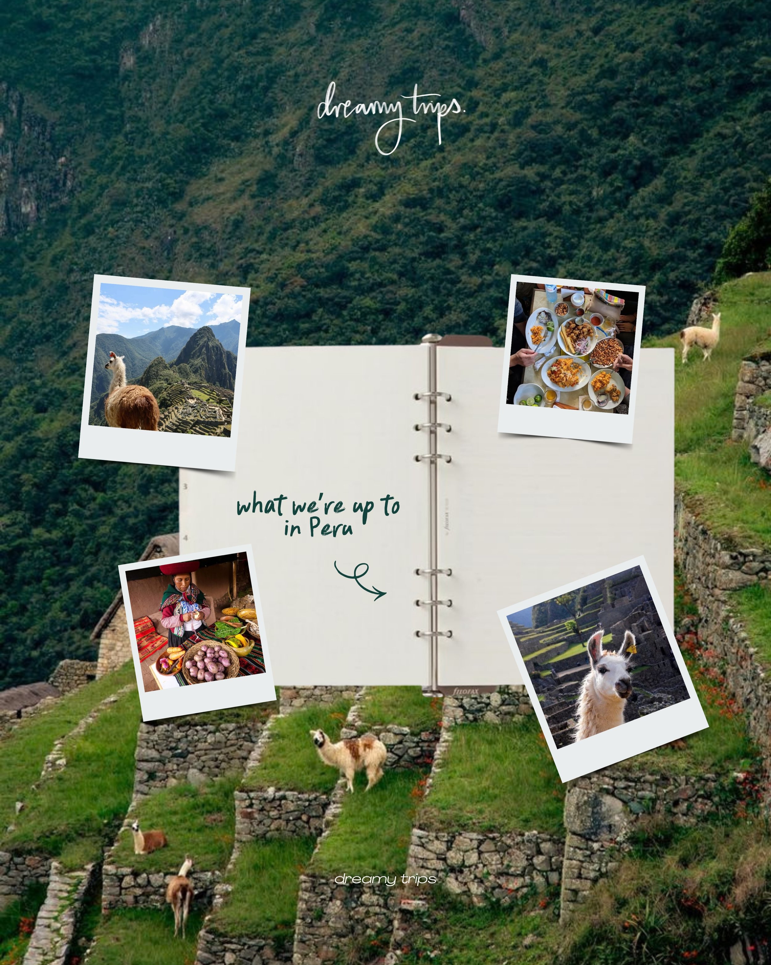 Peru, you&rsquo;re a little bit of everything we love about travelling 🇵🇪🤍 

Colourful markets, mountain views that don&rsquo;t feel real, the cutest alpacas, and experiences that let you see a place beyond the usual tourist spots. 

From pottery 