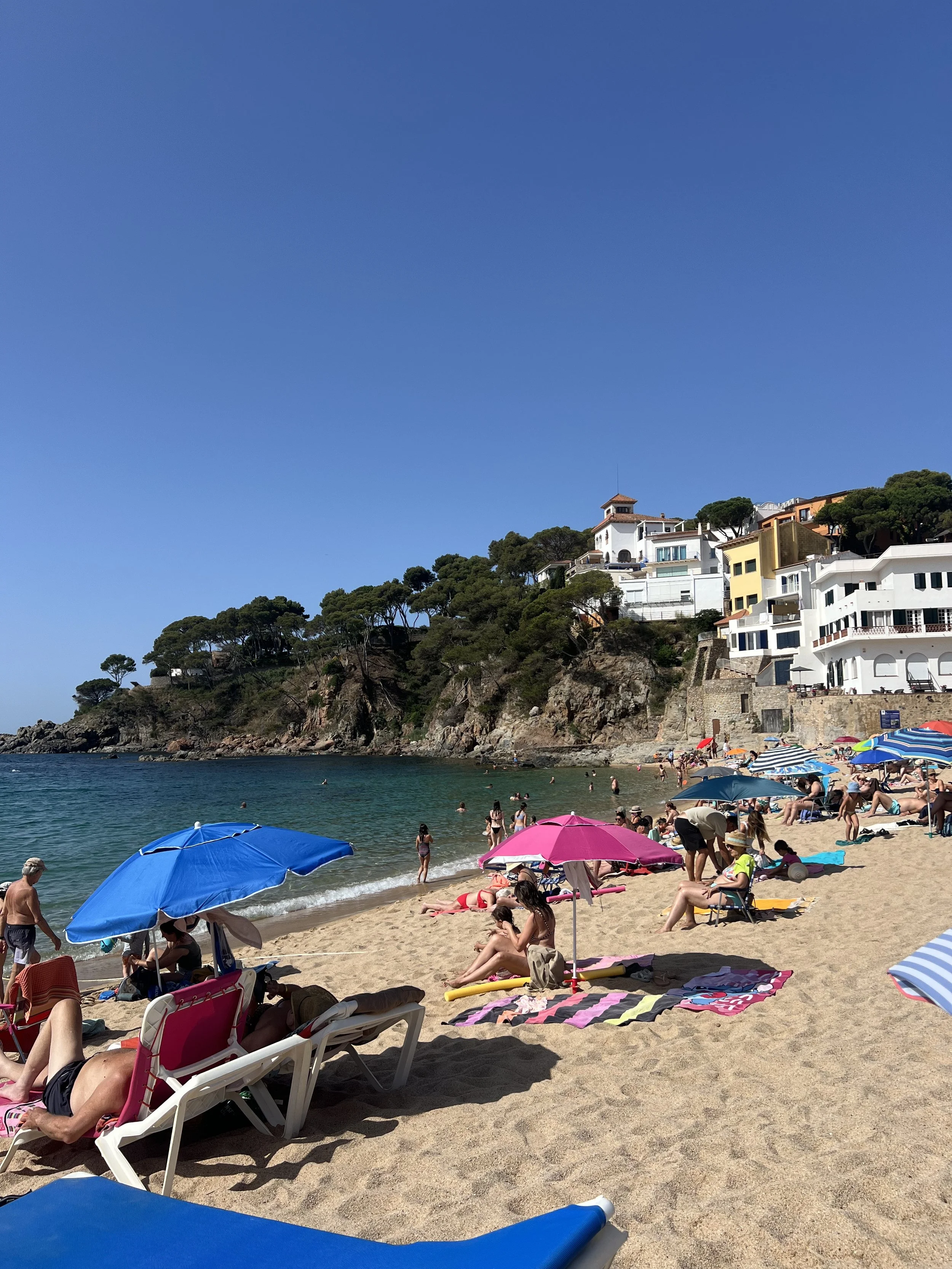IMG_8790.jpeg