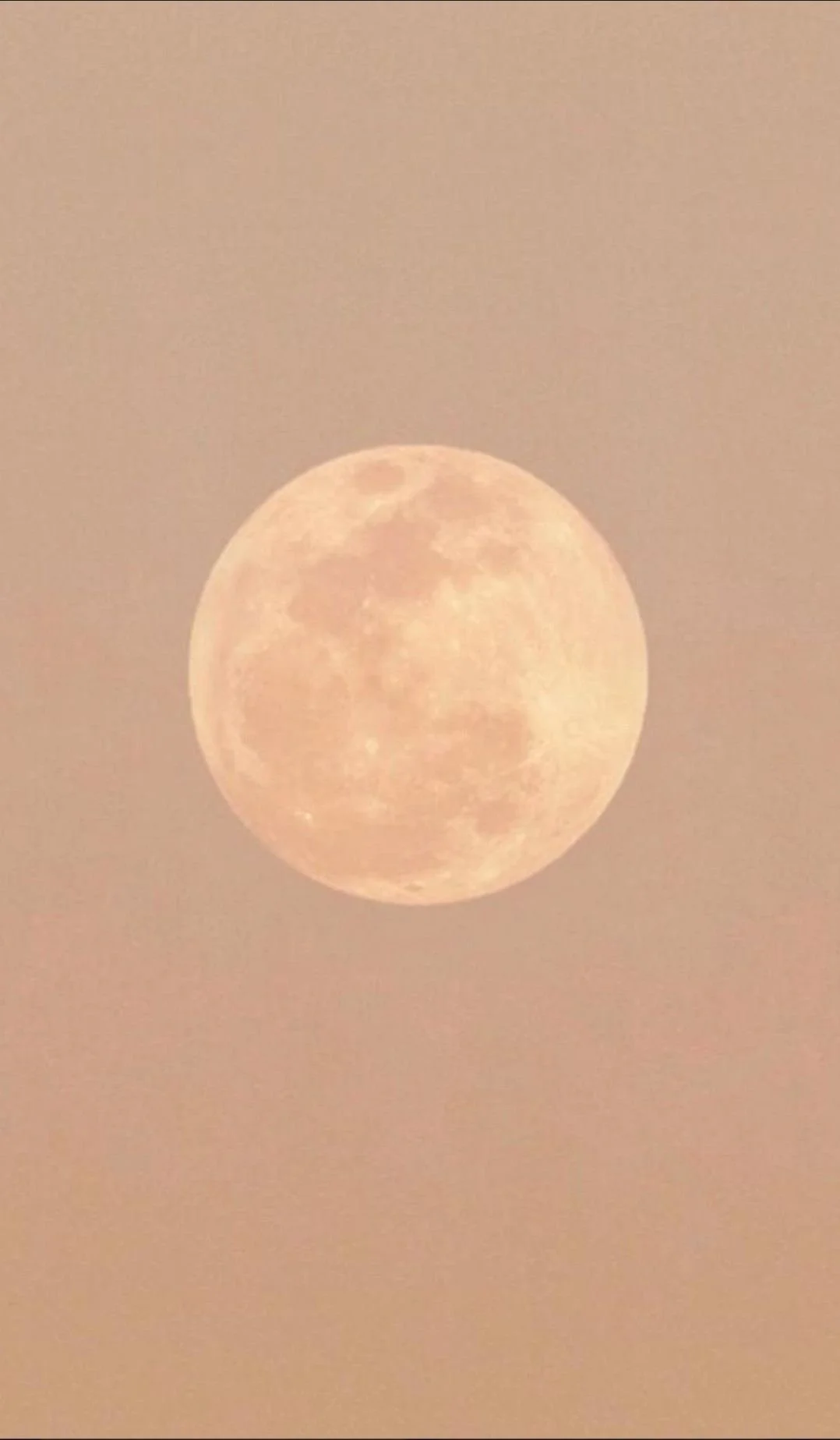 Half Moon Membership