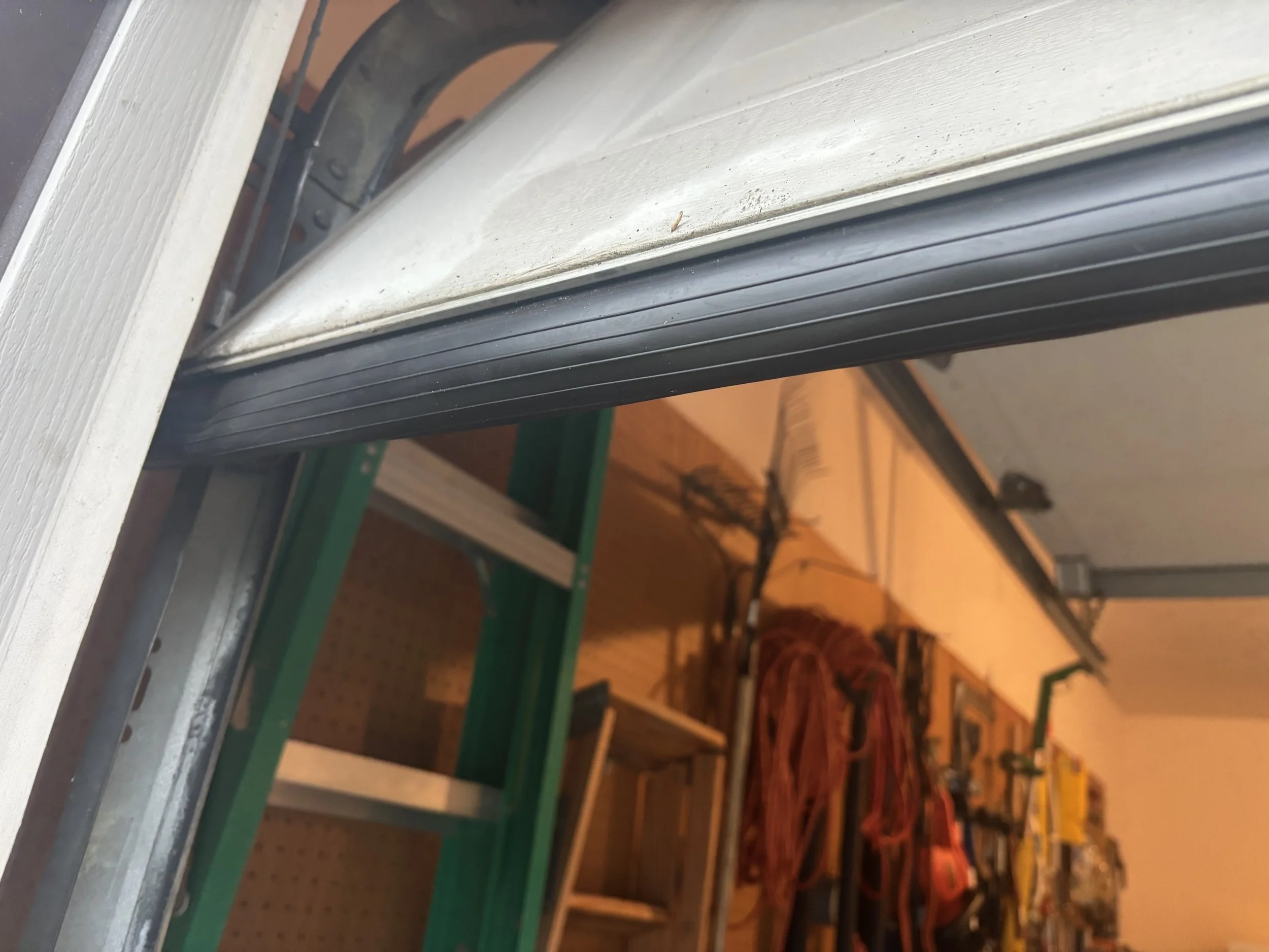 Close-up of a step ladder in a garage or workshop, with shelves and tools in the background.