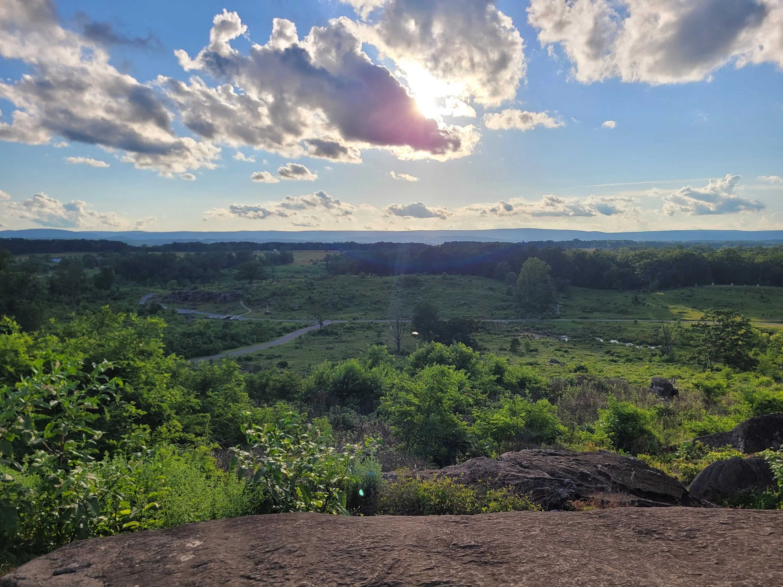 Cross cultural pollination: Snoop Dogg and Martha Stewart