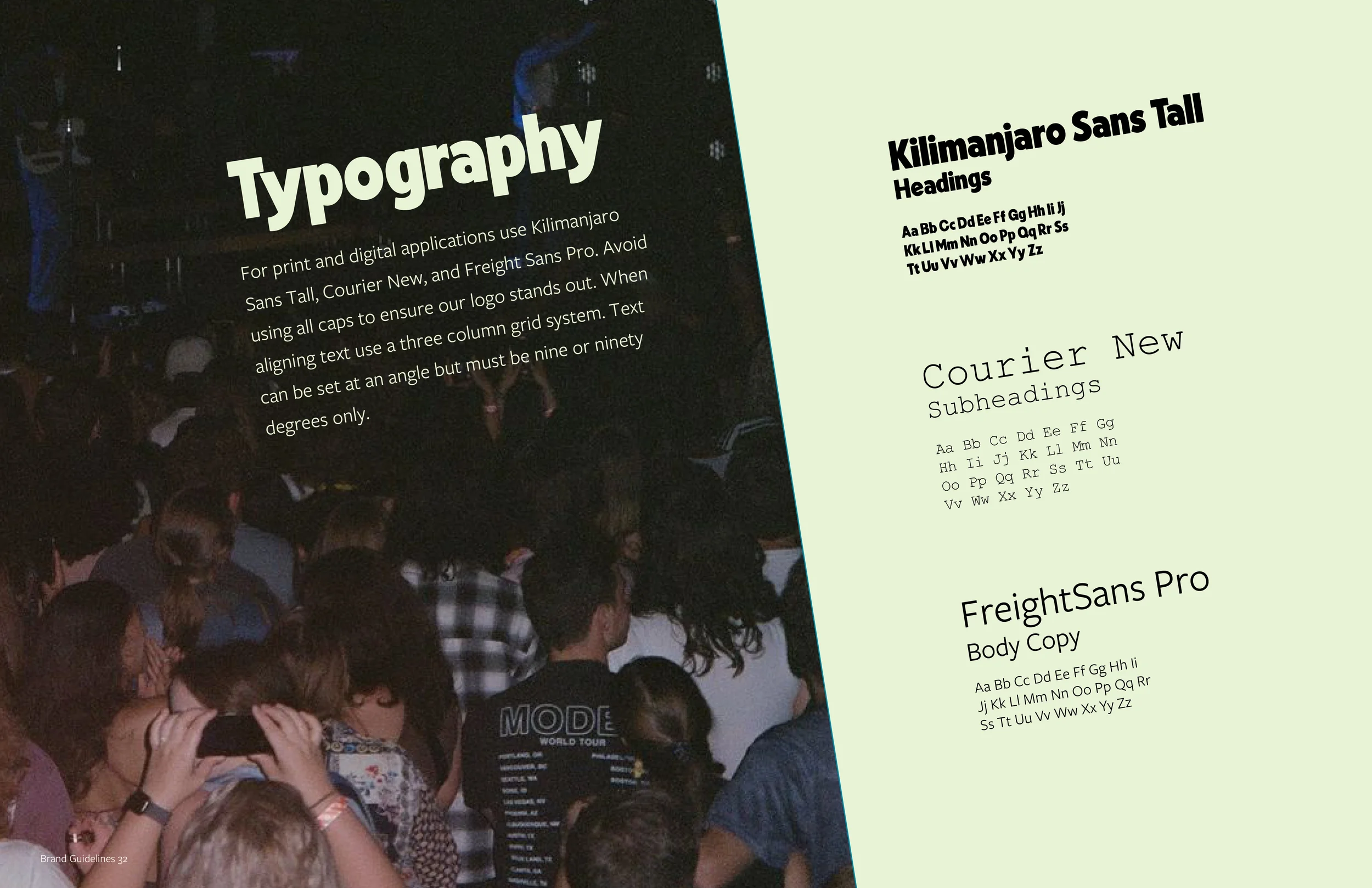 bear house before  copy17.webp