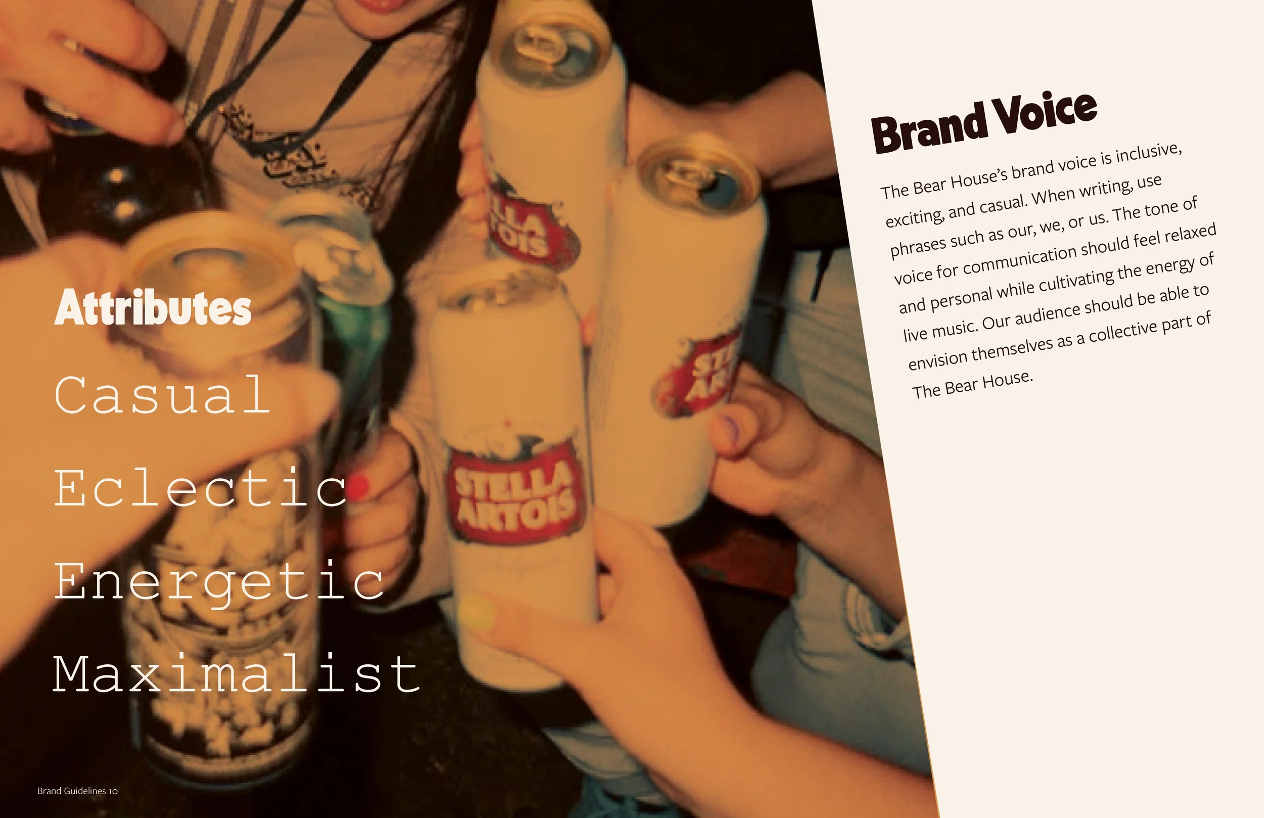 bear house before  copy6.webp