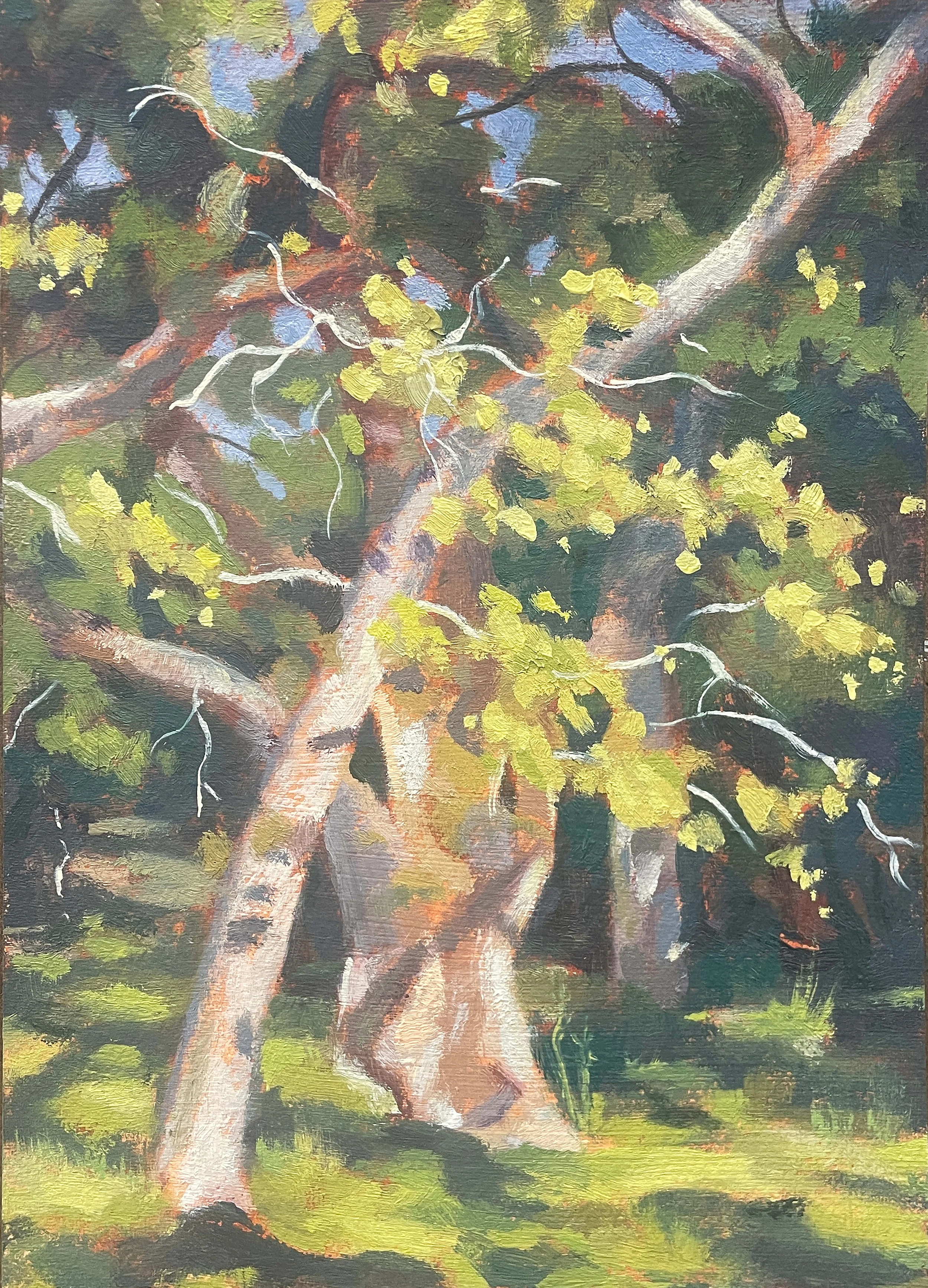 5 x 7 in - oil on paper - plein air