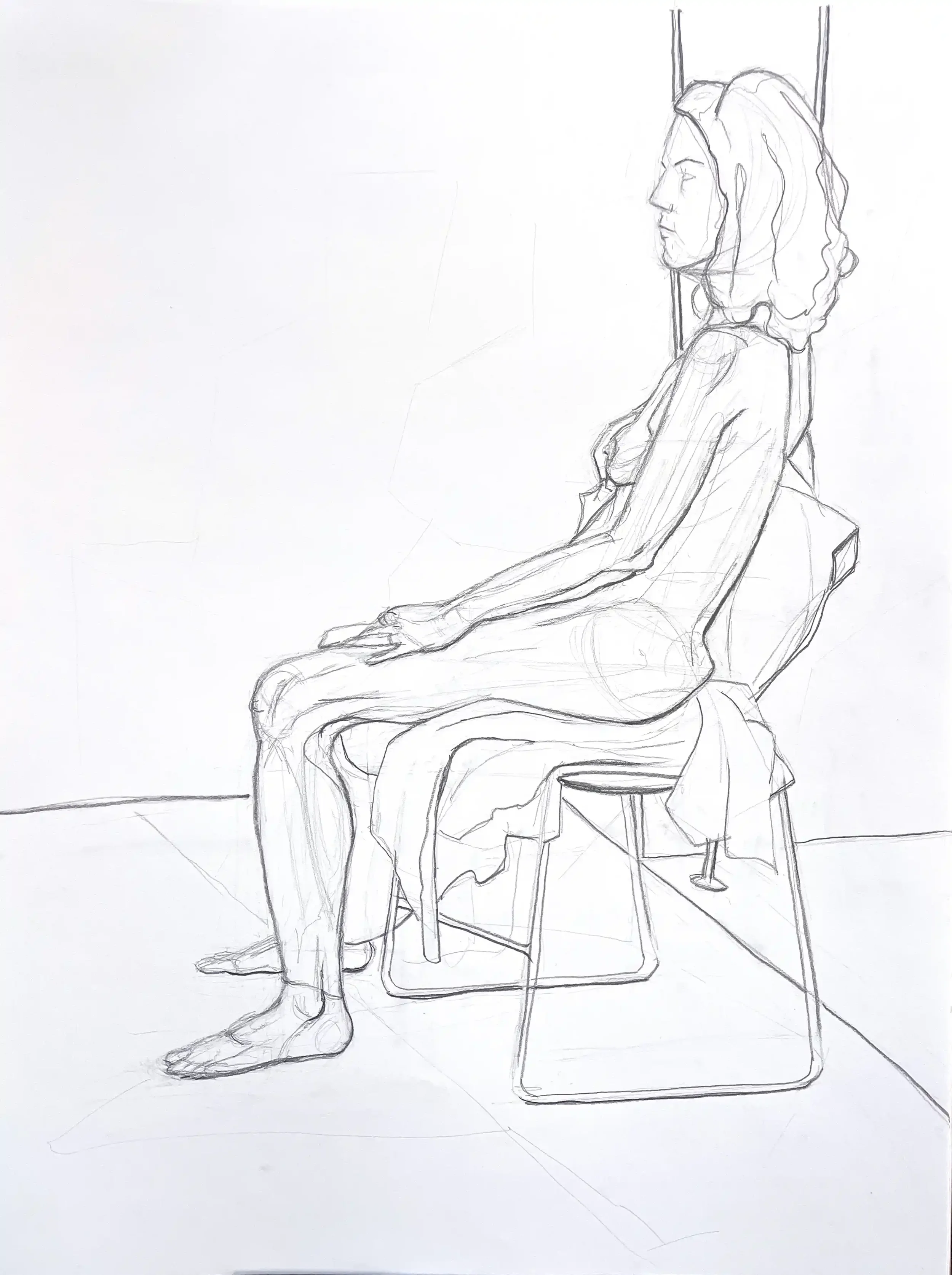 18 x 24 in - graphite on paper - from observation 