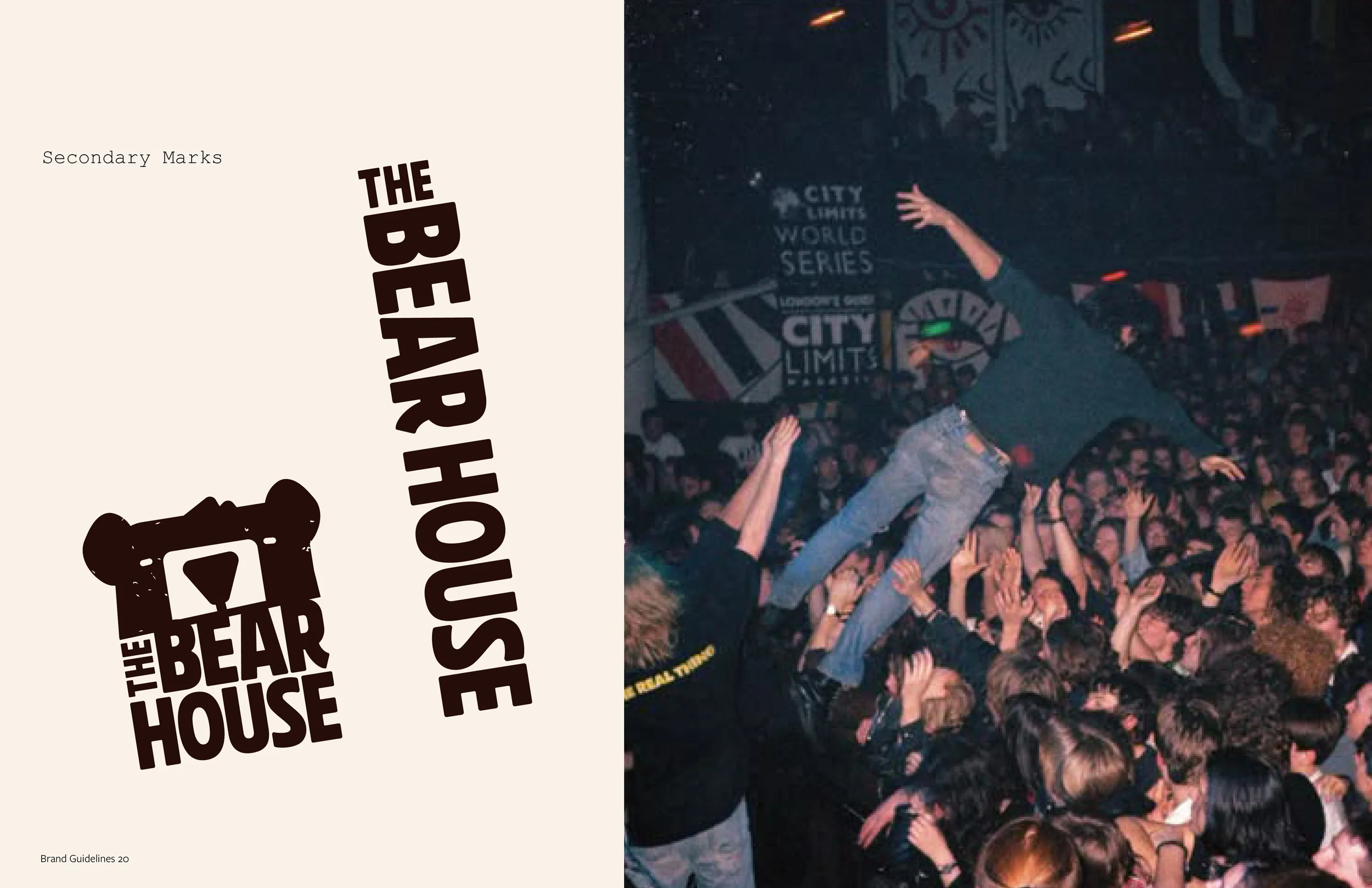 bear house before  copy11.webp