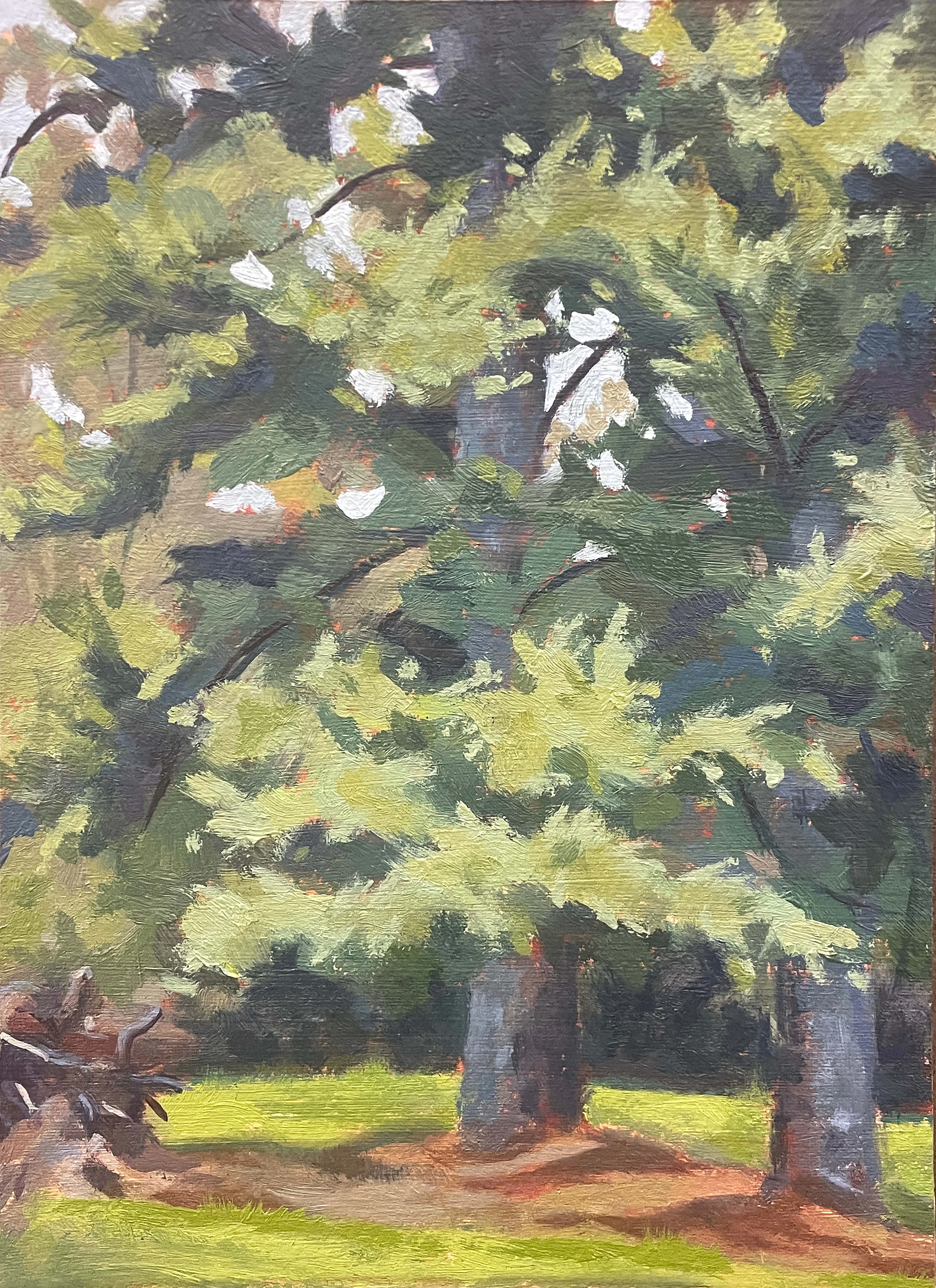 5 x 7 in - oil on paper - plein air