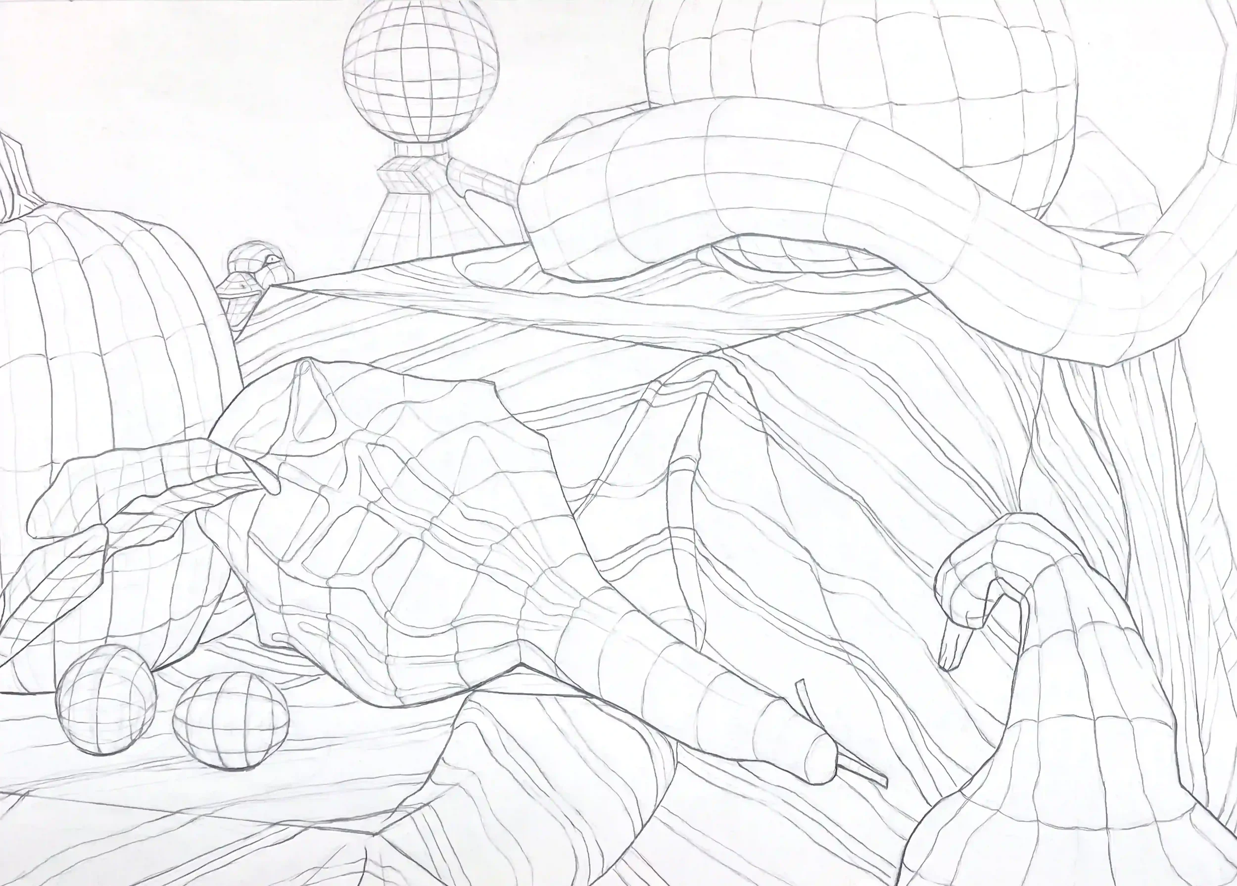 18 x 24 in - graphite on paper - from observation