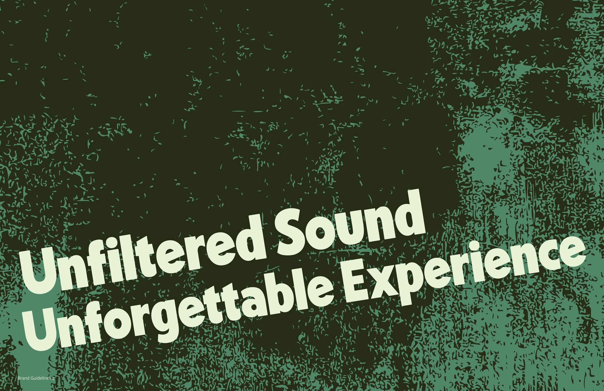 bear house before  copy3.webp