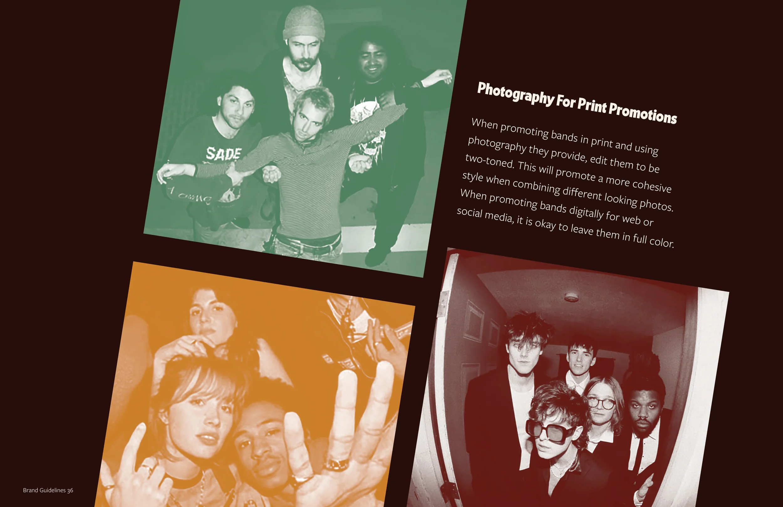 bear house before  copy19.webp