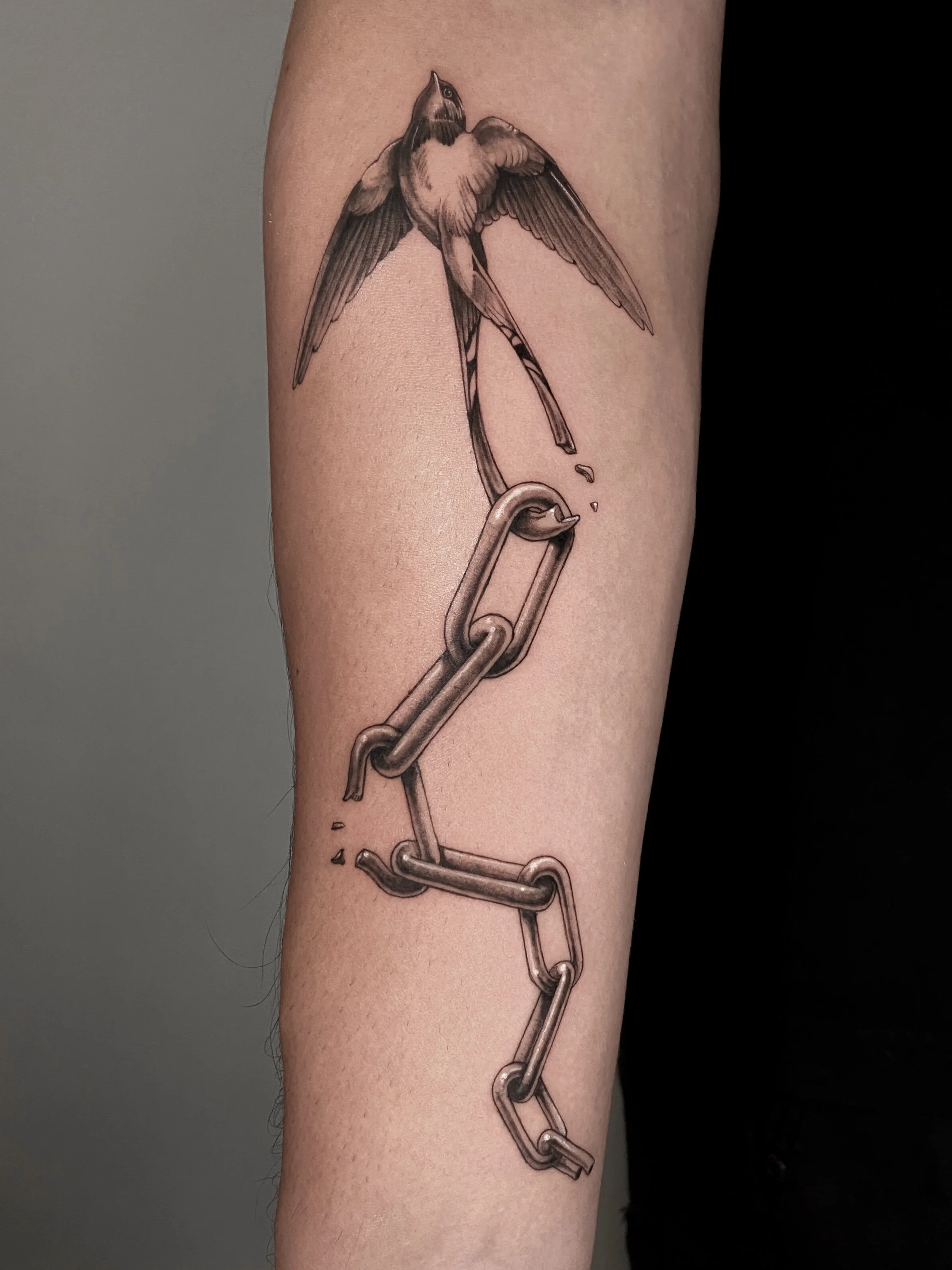 Tattoo of a bird perched on a broken chain on a person's arm.