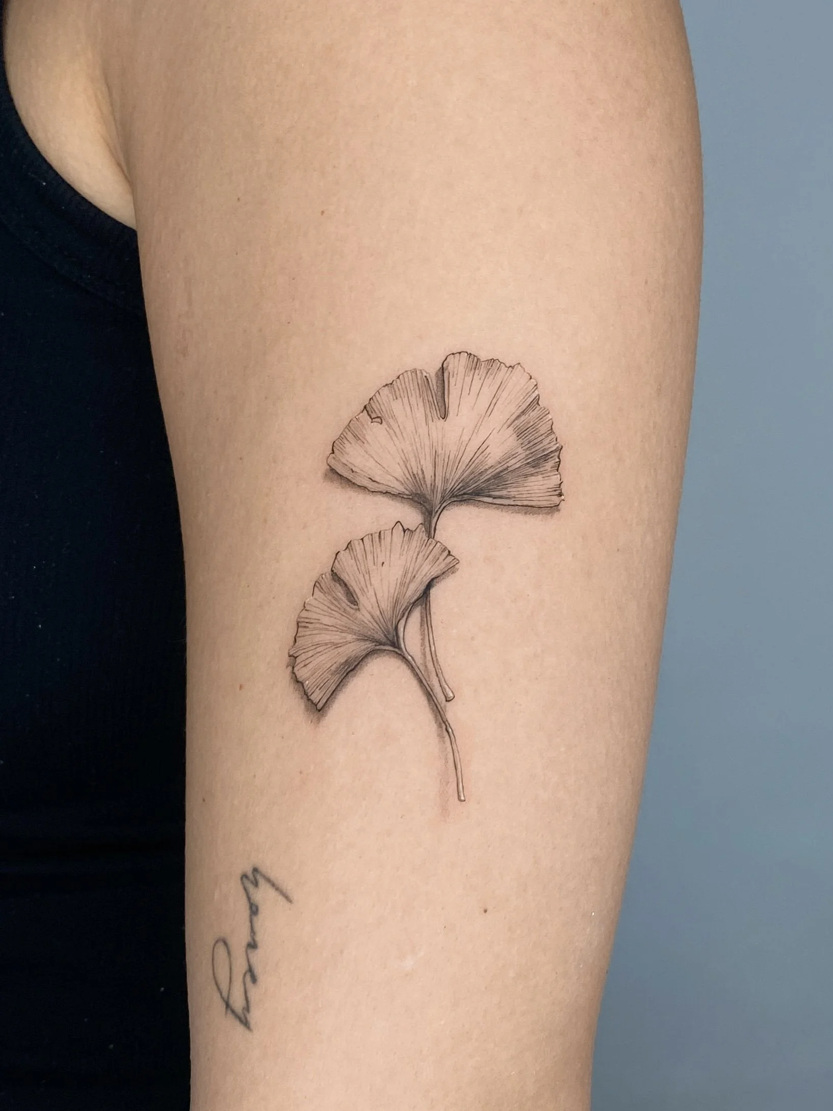 Tattoo of two ginkgo leaves on person's upper arm with a small cursive word 'love' tattooed below.