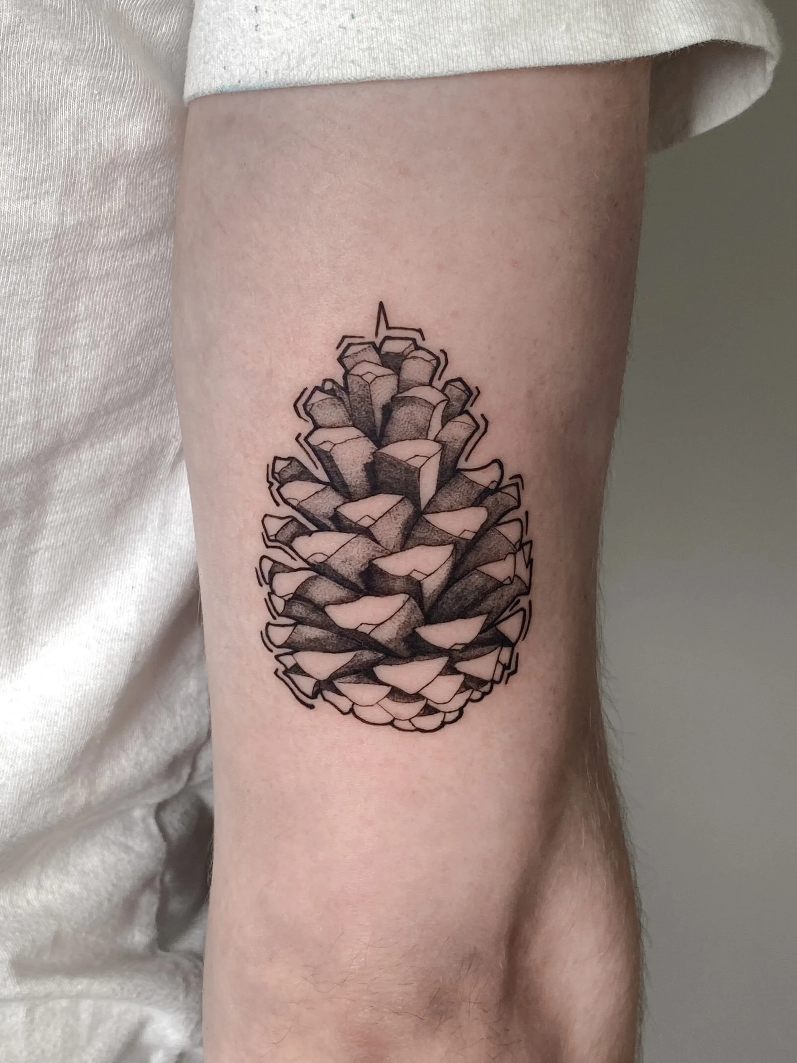 Tattoo of a pine cone on a person's upper arm.