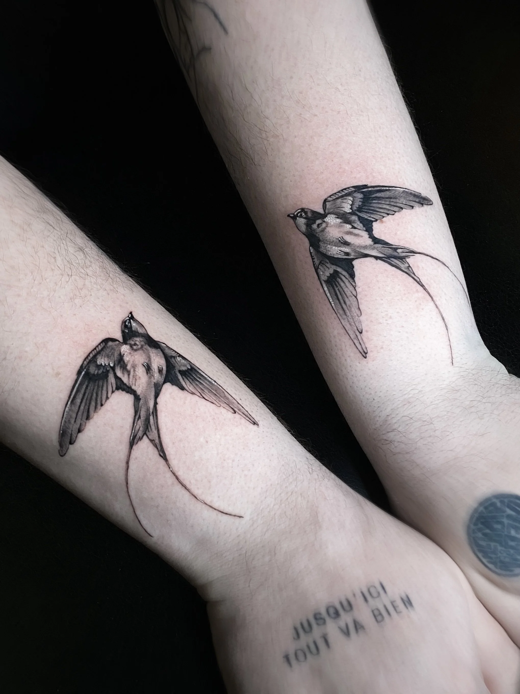 Tattoo of a swallow bird on a person's forearm, depicted in black and gray ink with detailed wings and a long tail.