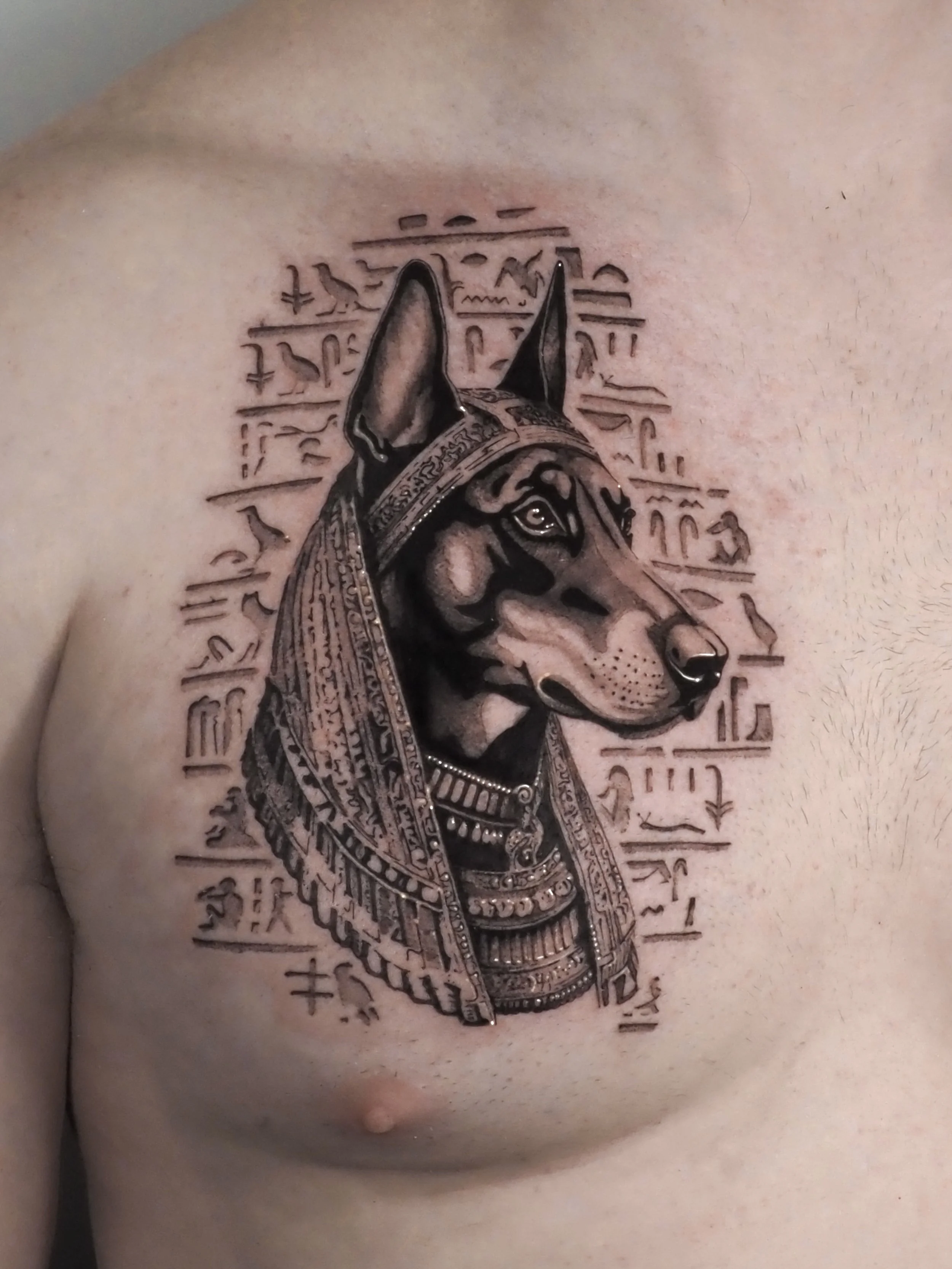 Tattoo of a dog dressed in ancient Egyptian attire, with hieroglyphics in the background.