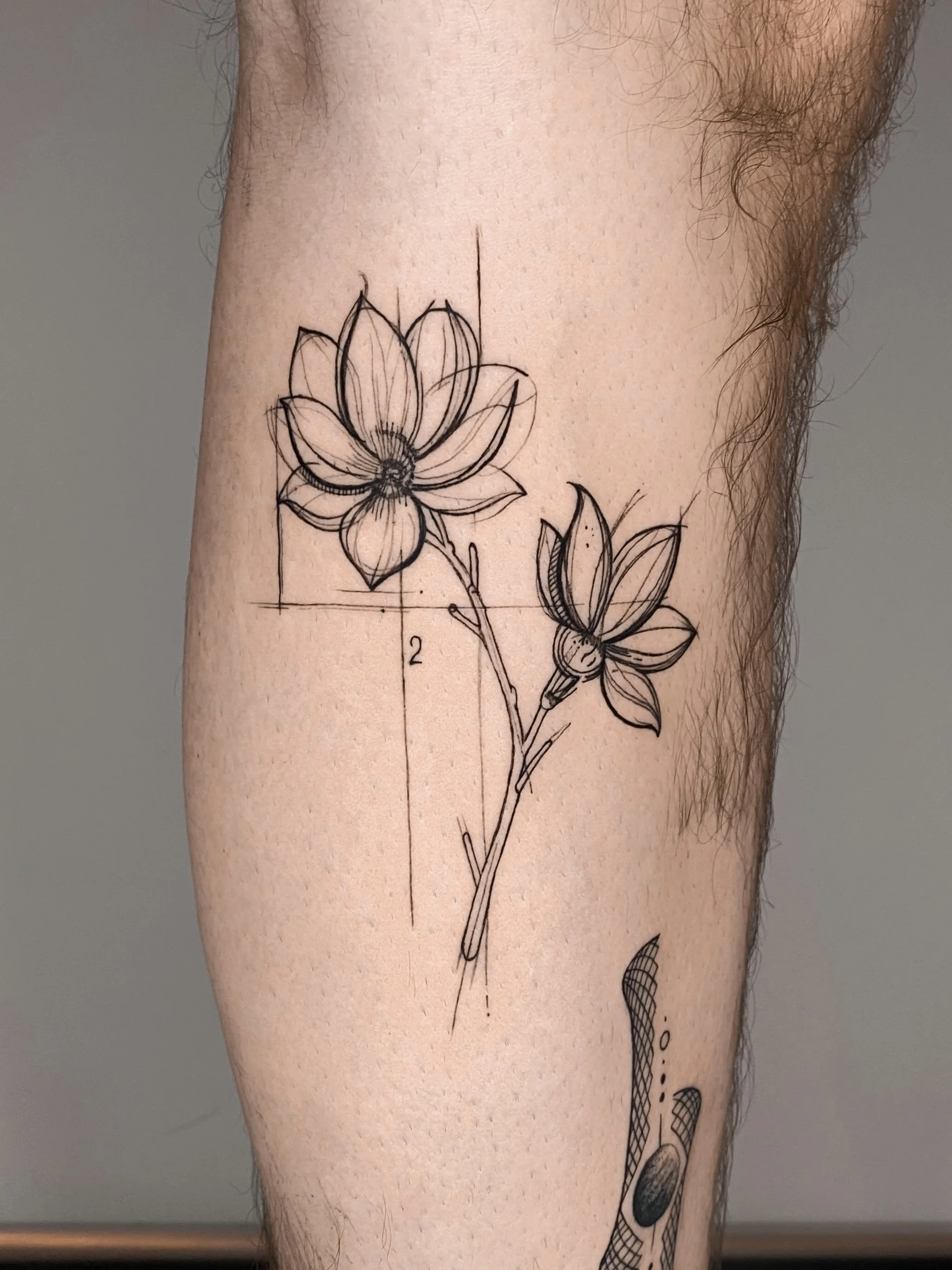 A black ink sketch of a flower with detailed line work, with some guidelines and measurements, on a person's forearm.
