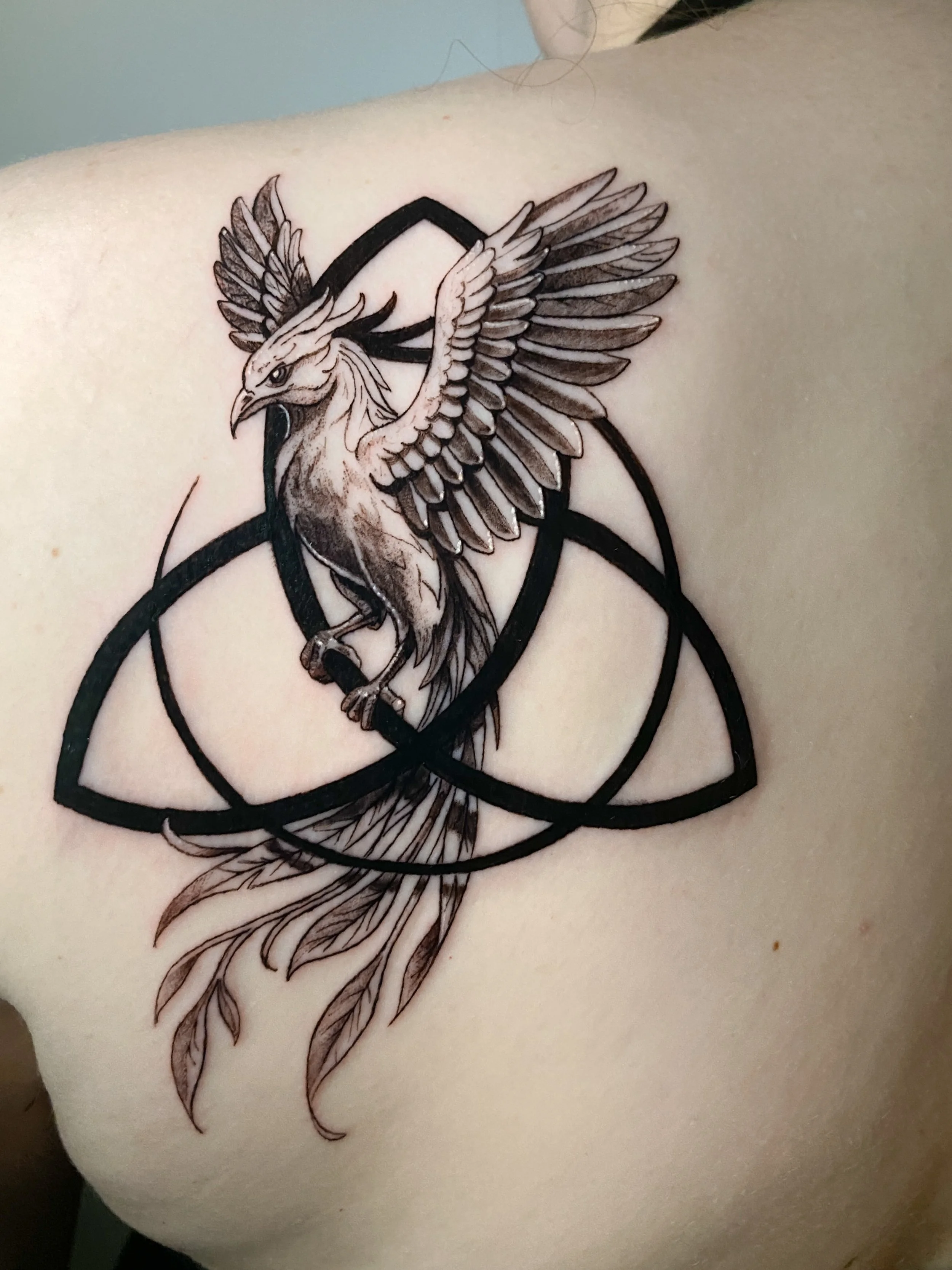 Tattoo of a phoenix with large wings, perched inside a pentagram, on someone's shoulder.