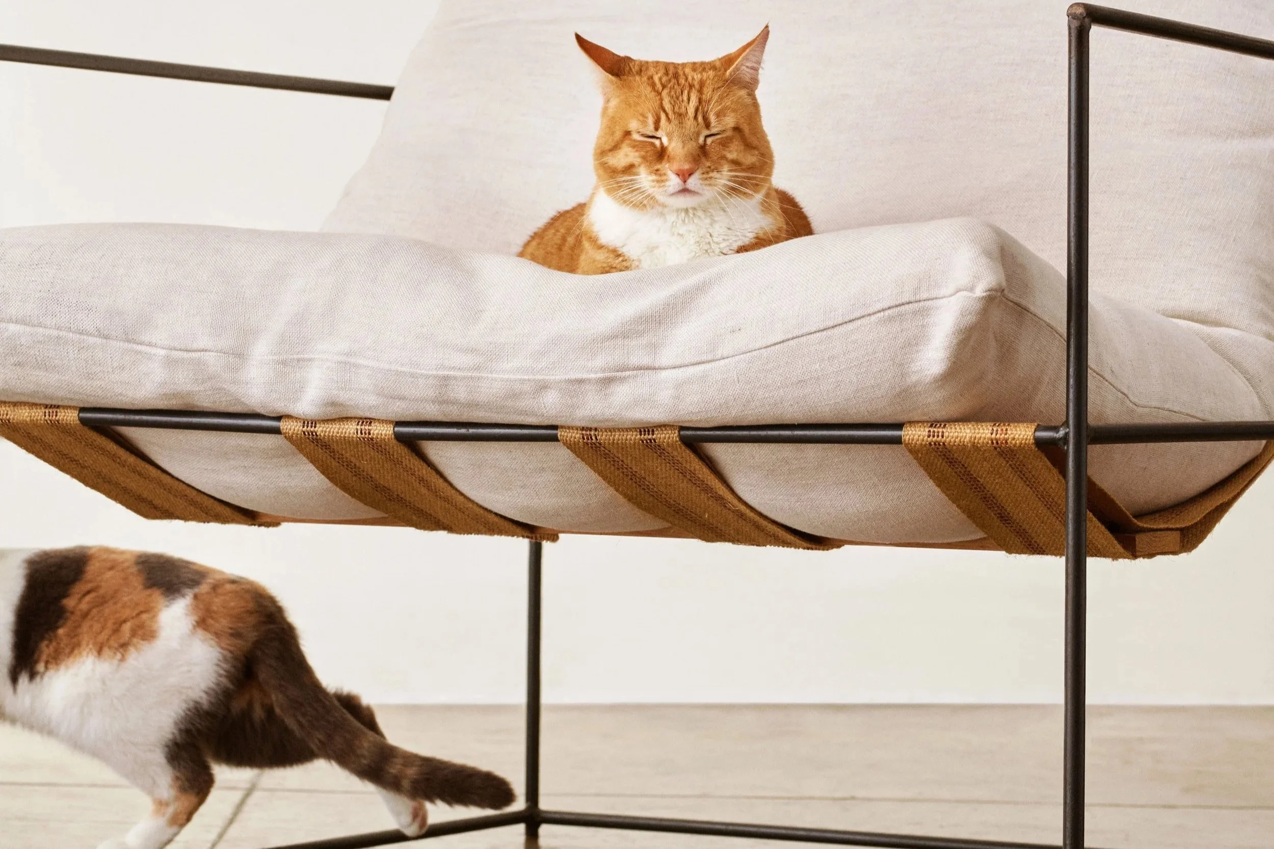 Evergreen Collection