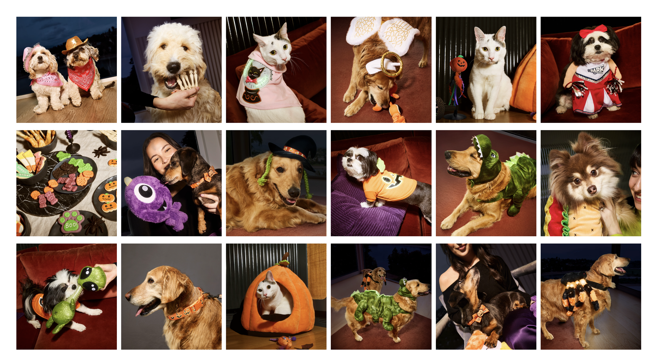 Screenshot 2025-06-16 at 10.18.41 AM.png