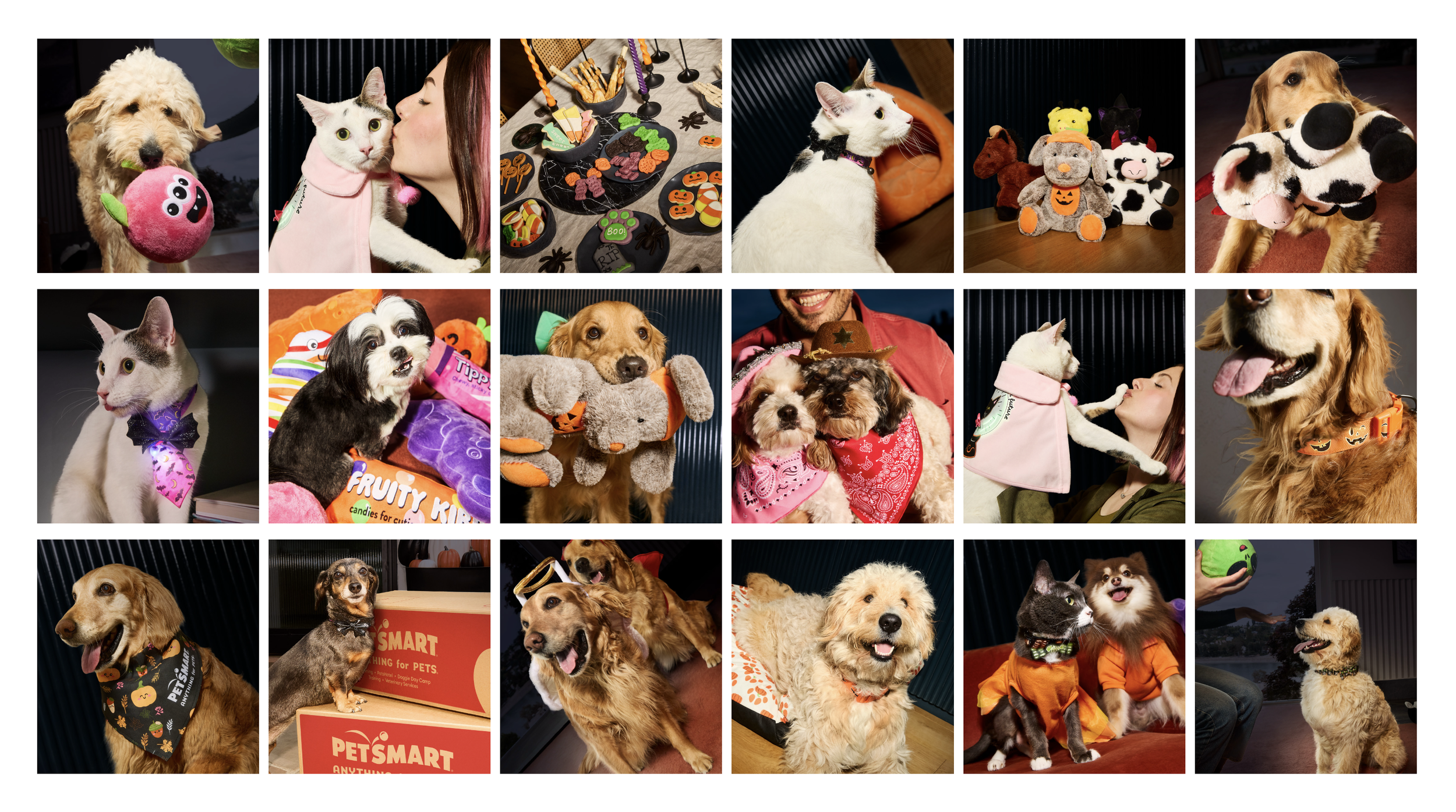 Screenshot 2025-06-16 at 10.19.01 AM.png