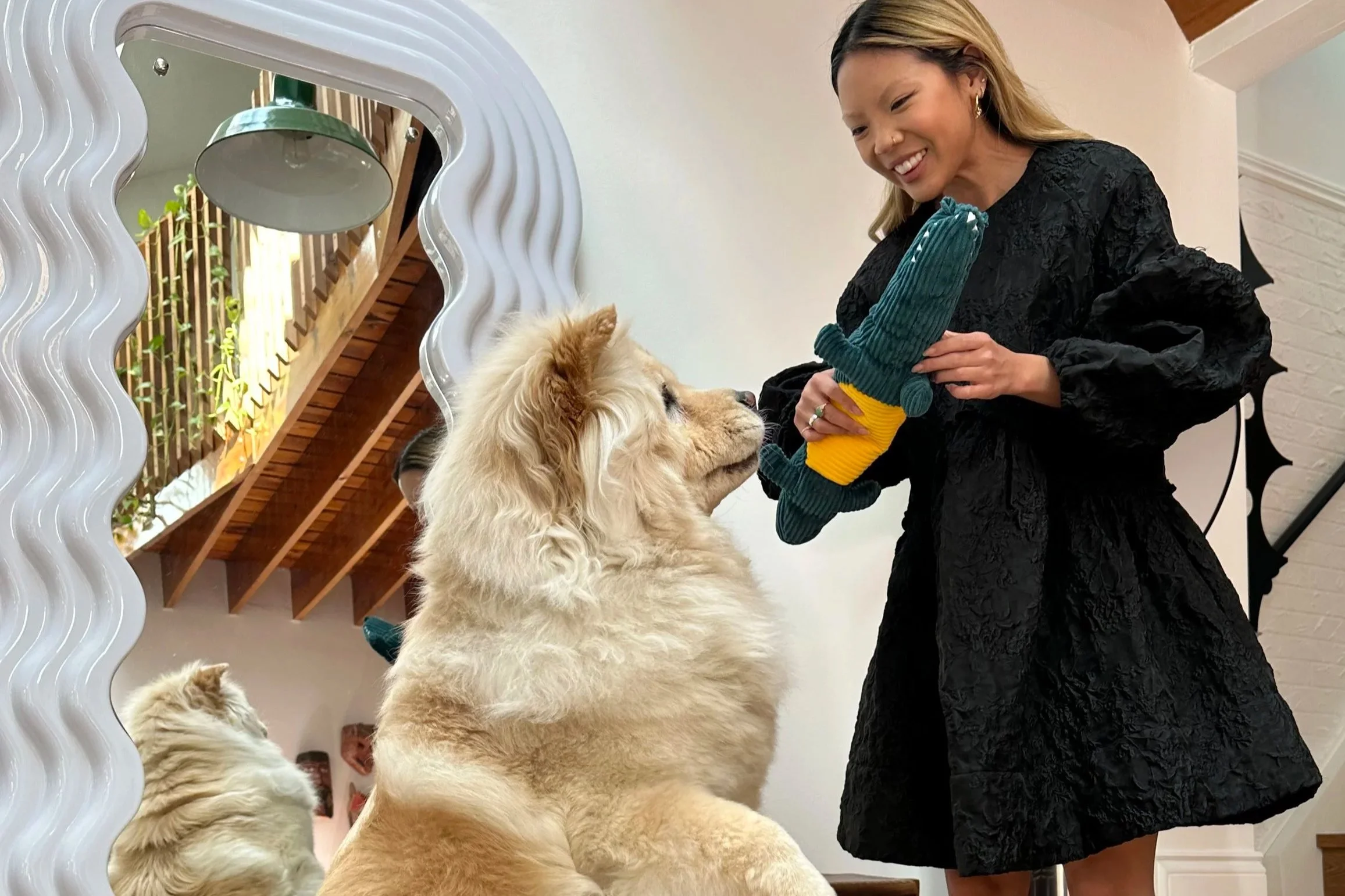 Content Creators Campaign