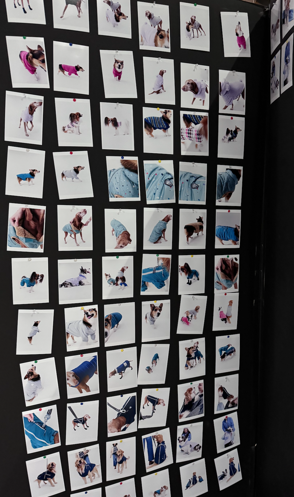 Screen Shot 2025-12-01 at 1.05.43 PM.png