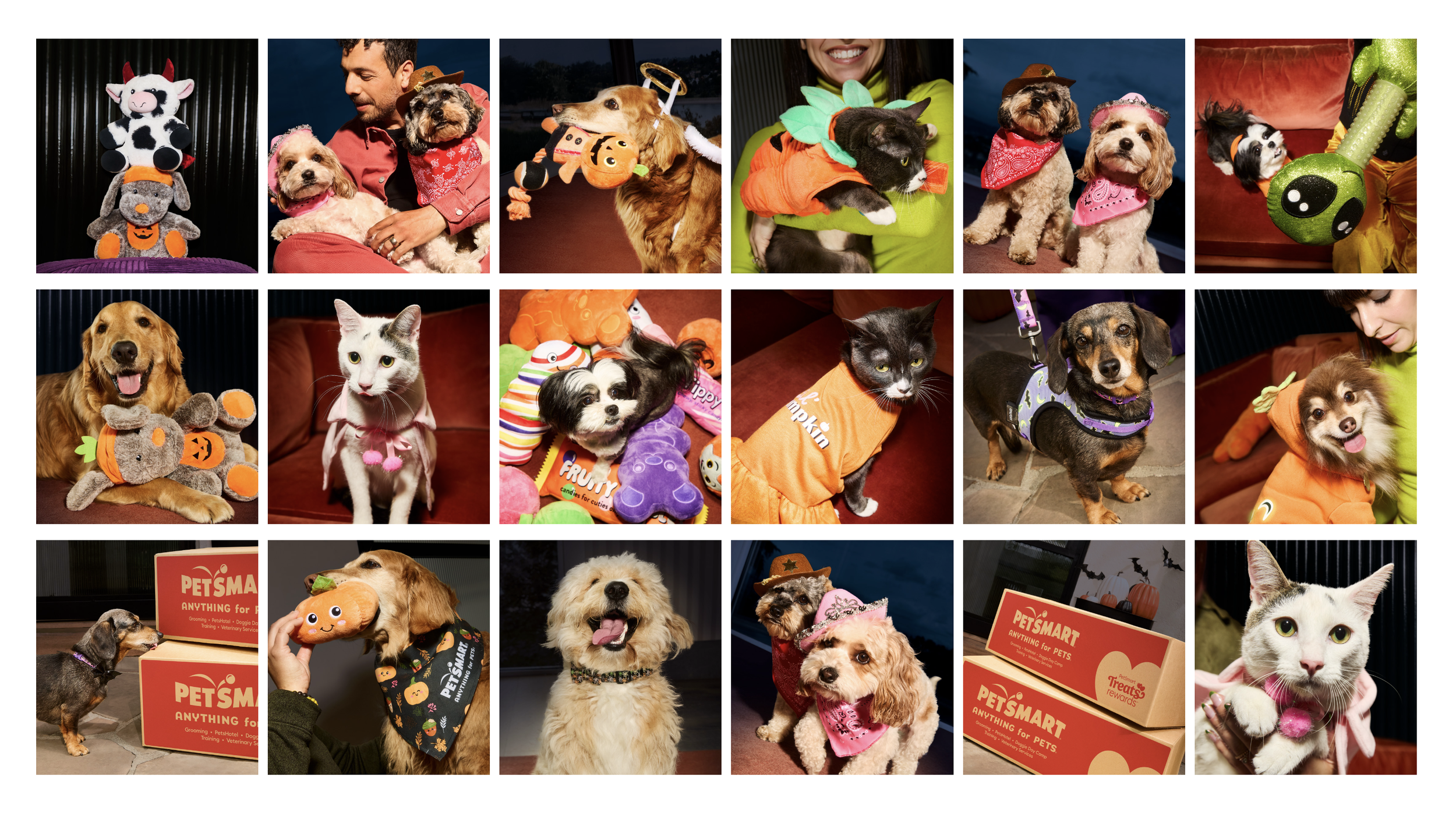 Screenshot 2025-06-16 at 10.18.52 AM.png