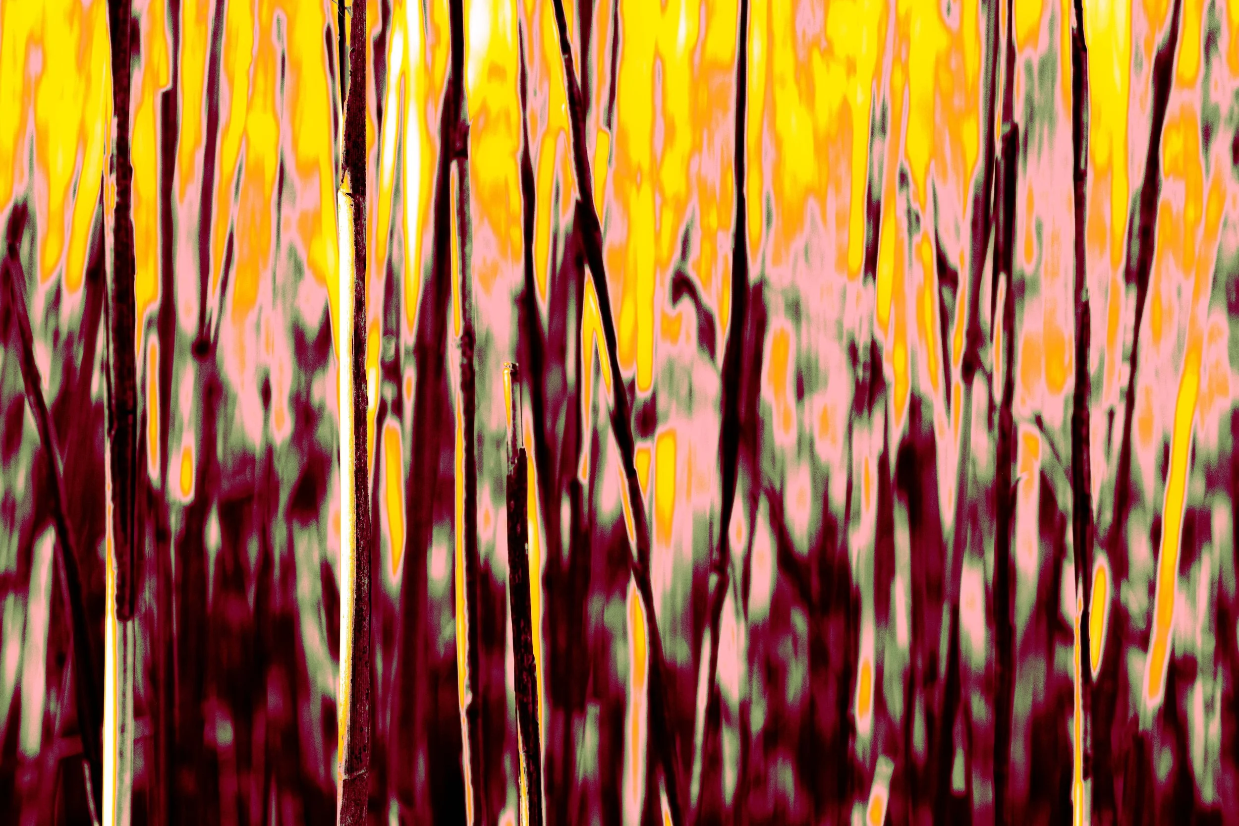 Plum Island tryptich #3