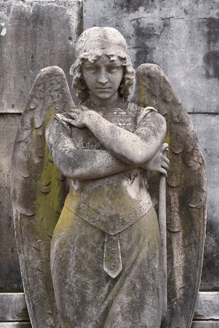 The Guardian Angel.png