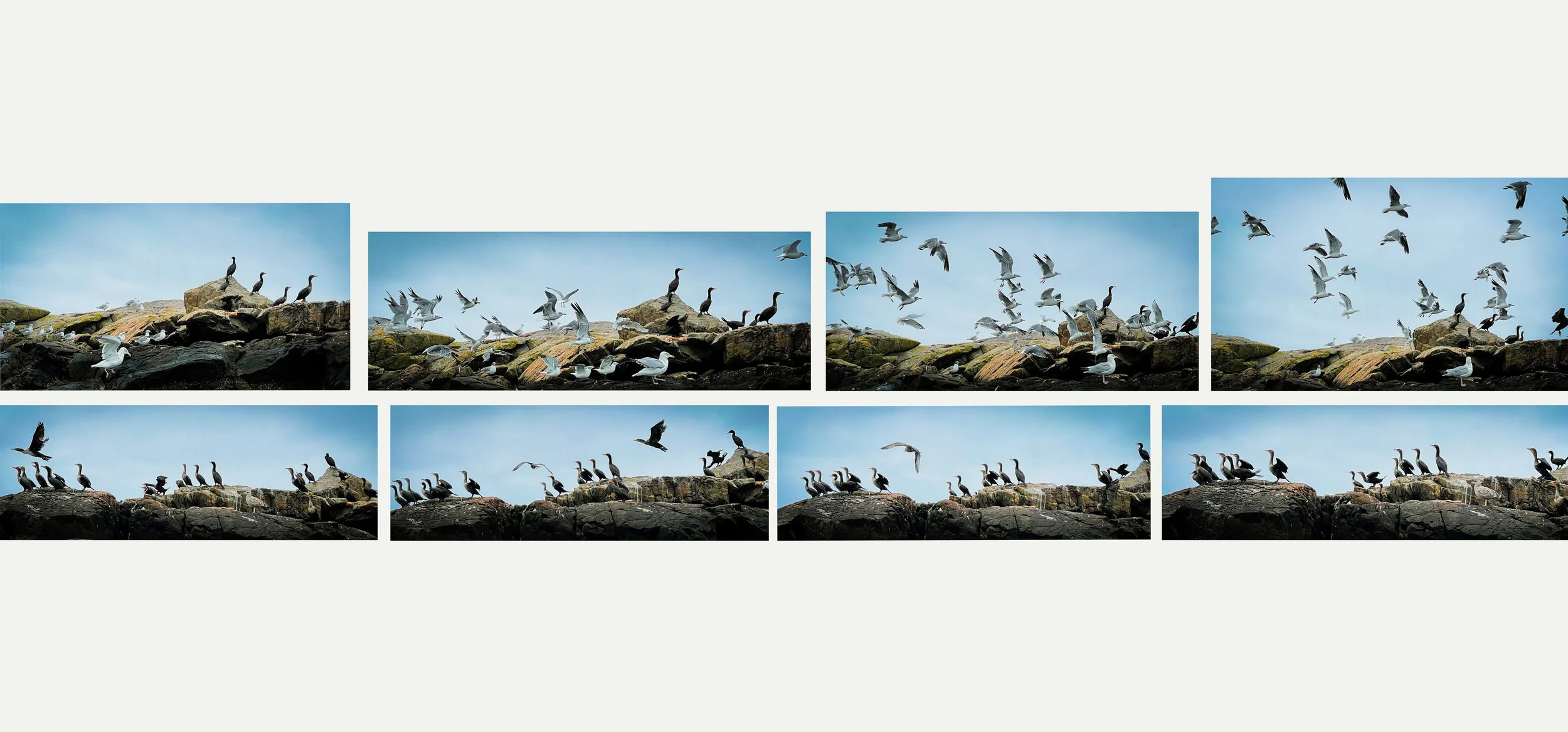 Wait there's snacks.jpg