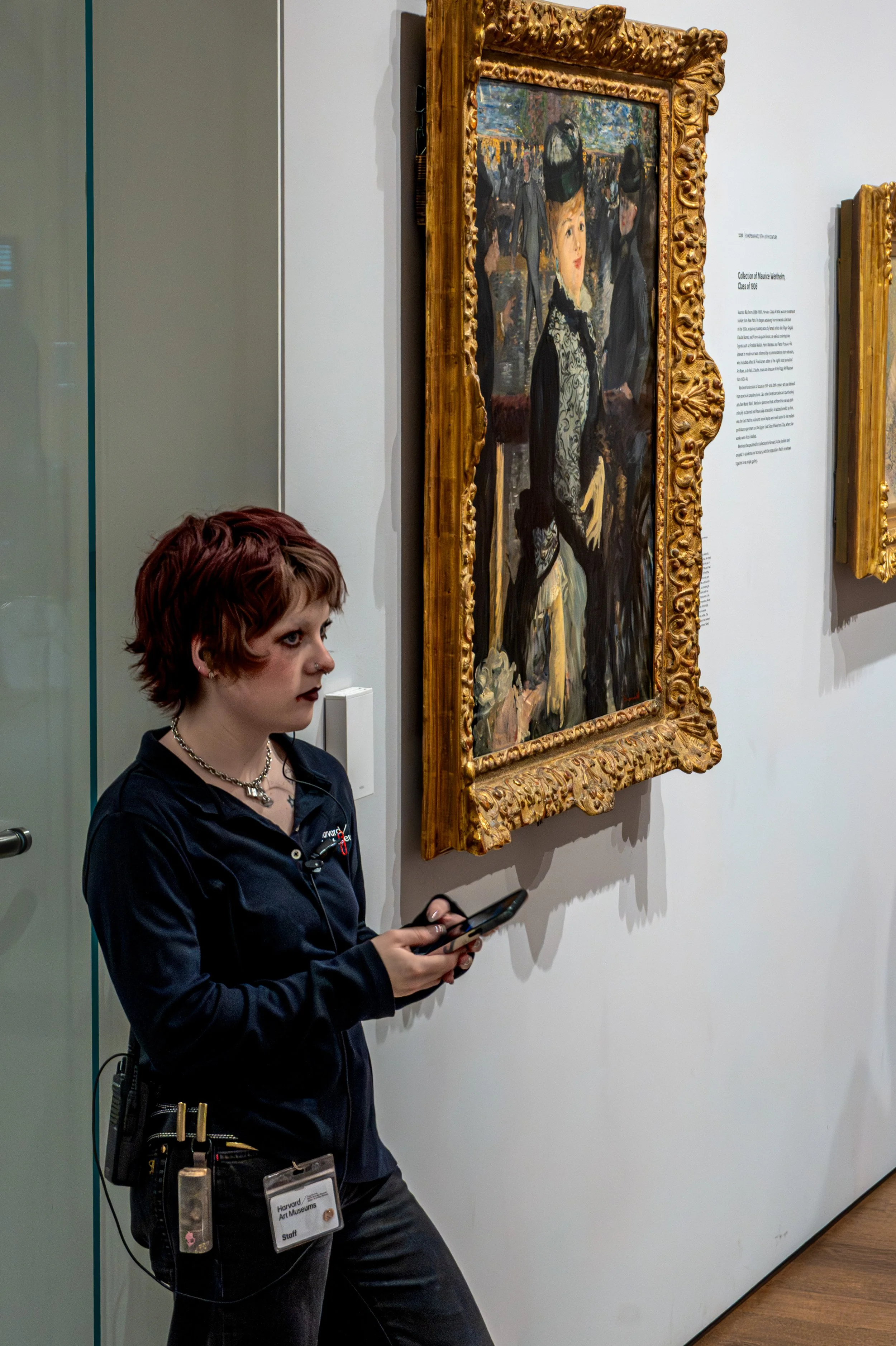 Harvard Museum -  (18).jpg