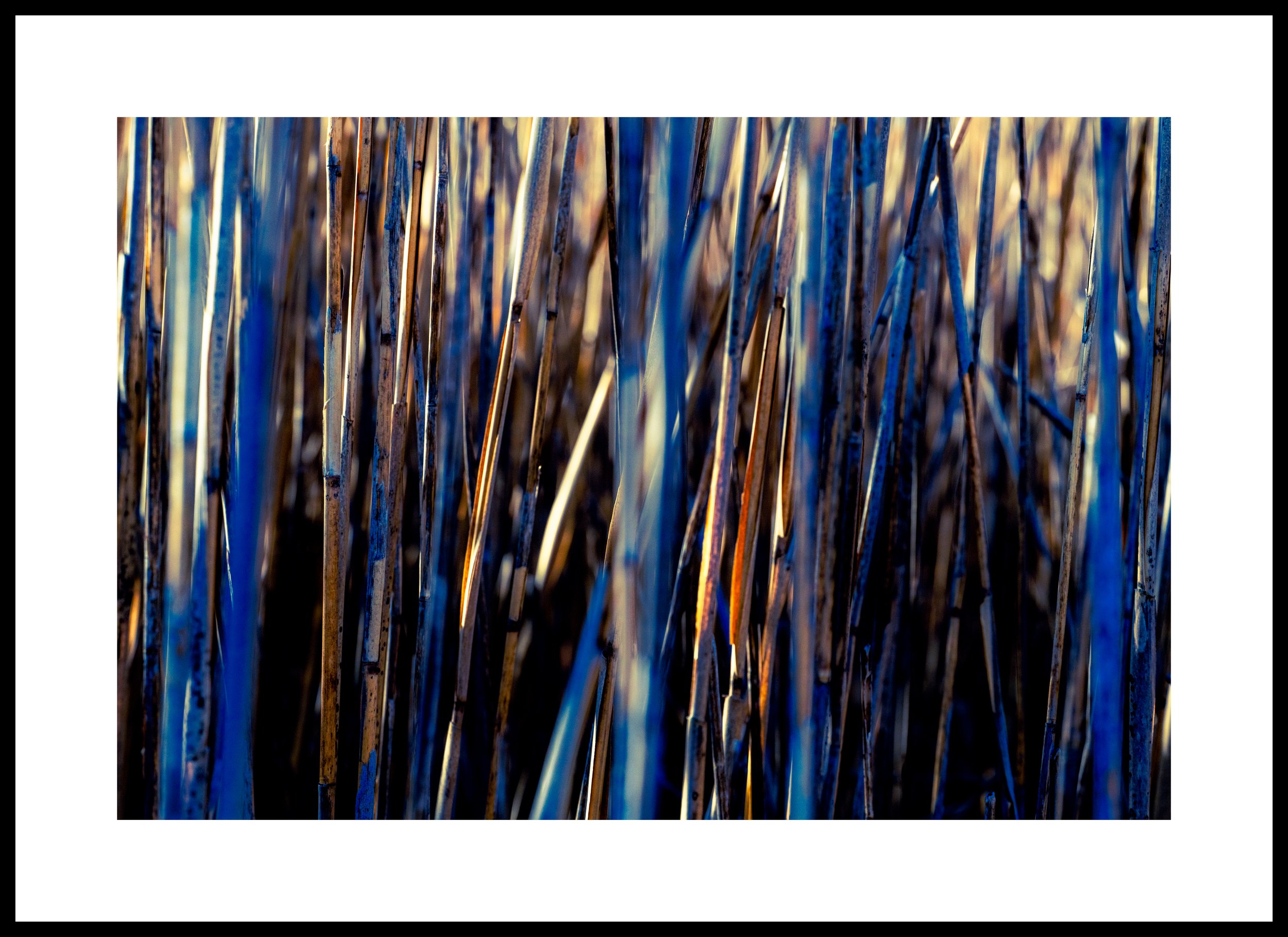 AT - E- Plum Island Blue.jpg