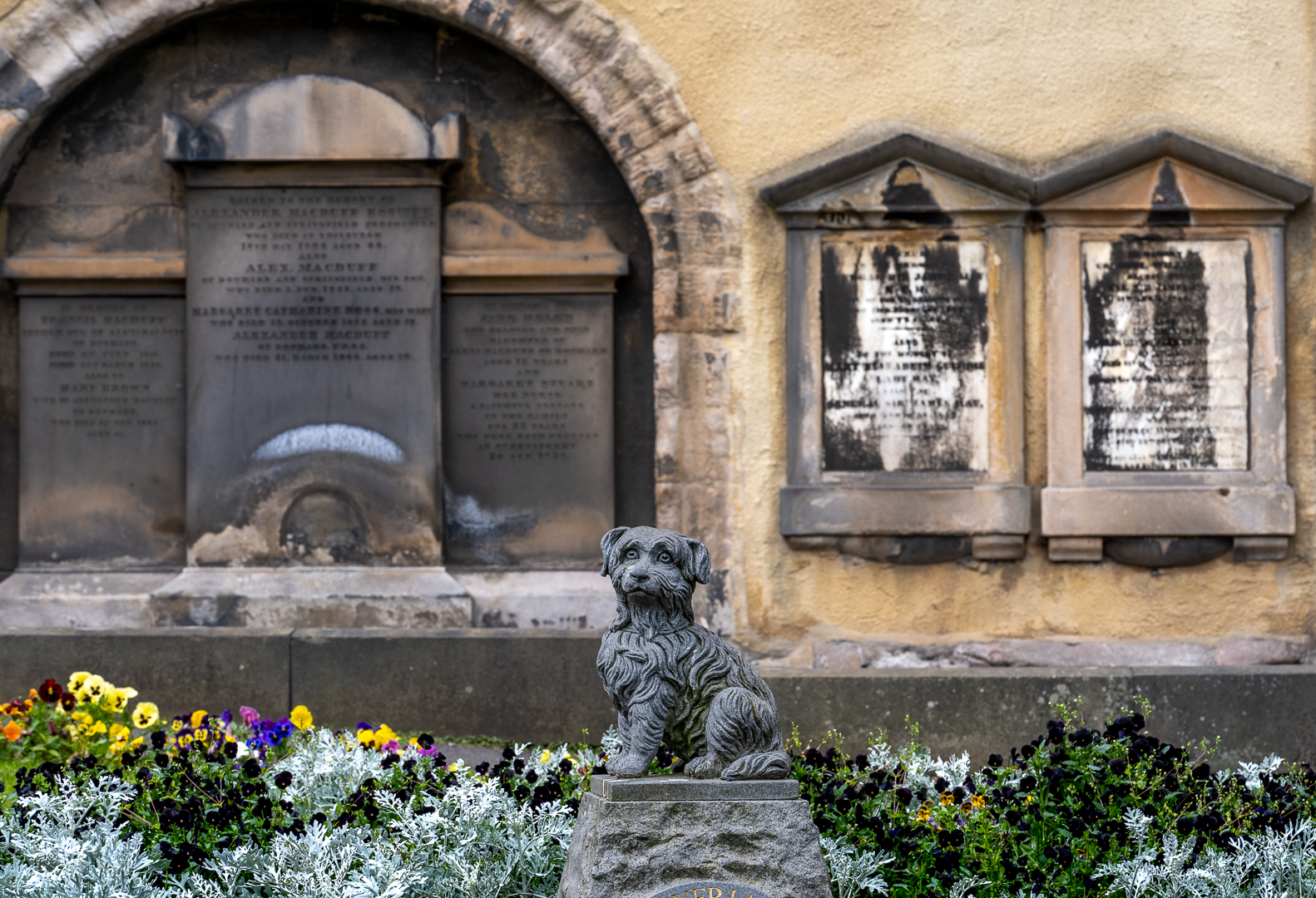 Greyfriar's Bobby