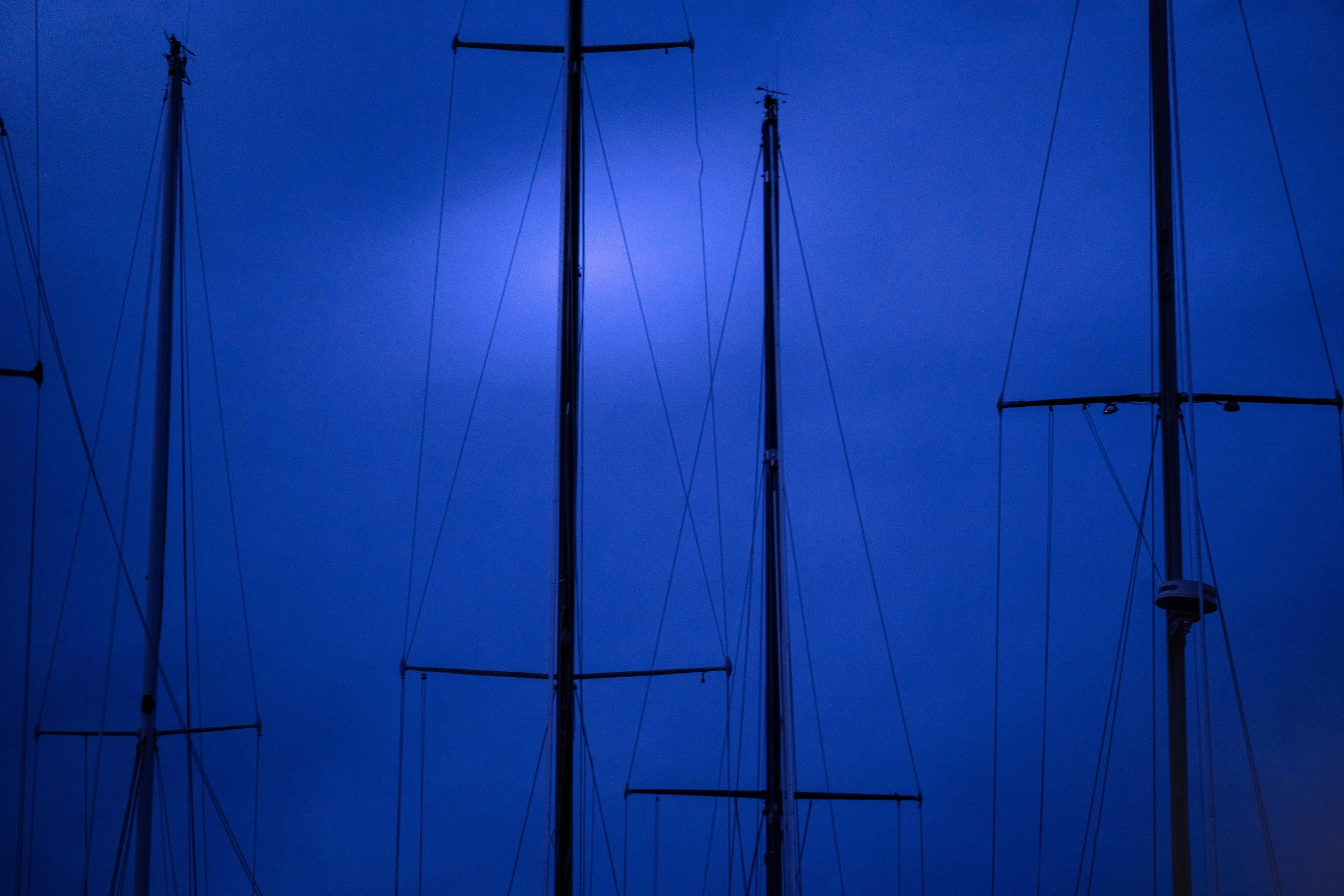 NZZ_3140.jpg