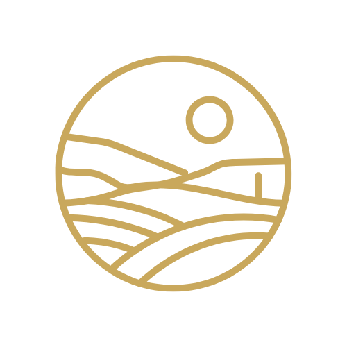 Minimalist line drawing of a landscape with hills, a cactus, a sun, and a small circle, all within a circle boundary.
