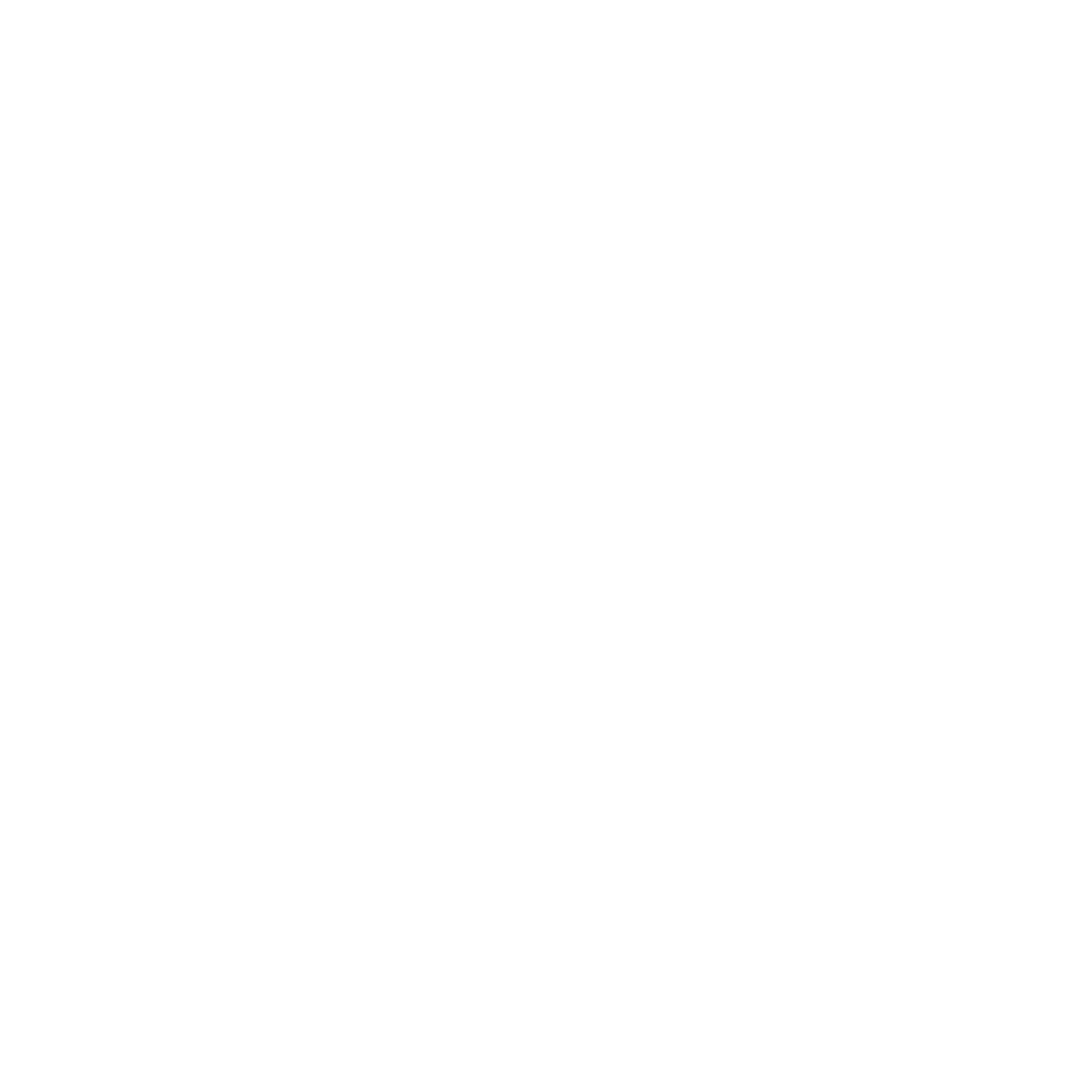 Black and white badge with a circular design, featuring the Boise Regional Realtors logo, and text that reads 'Circle of Excellence, Top Producer, Lifetime Member, 10+ Years'.