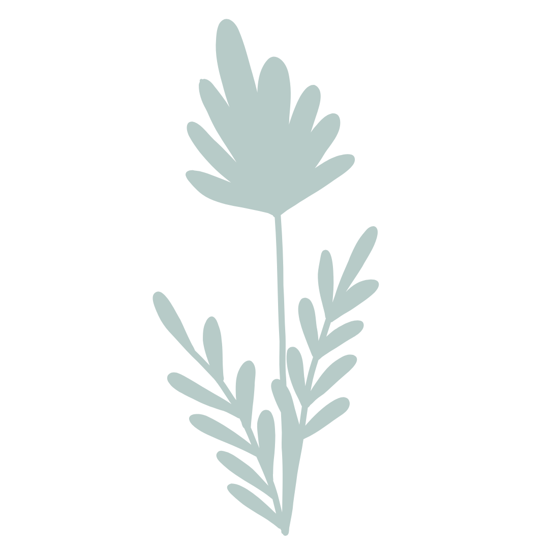 A minimalist illustration of a greyish-green leafy plant with multiple slender leaves on a black background.
