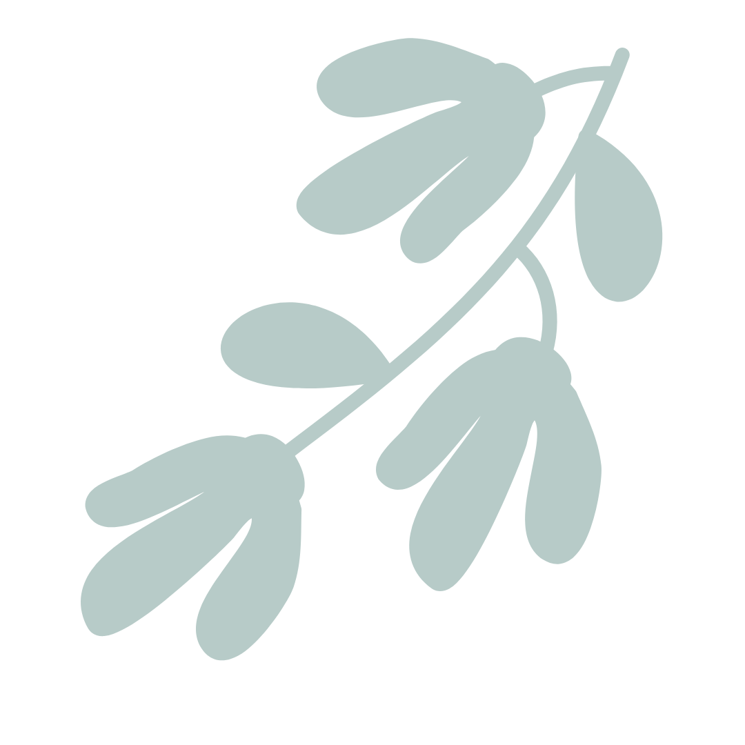 A simplified, stylized illustration of a leafy branch with multiple leaves.