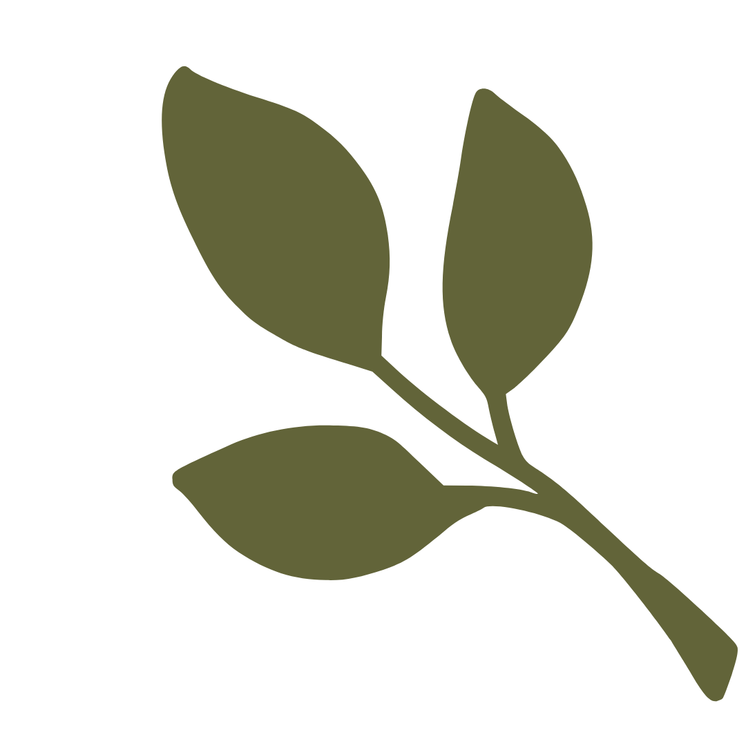Silhouette of a branch with five leaves in an olive green color.