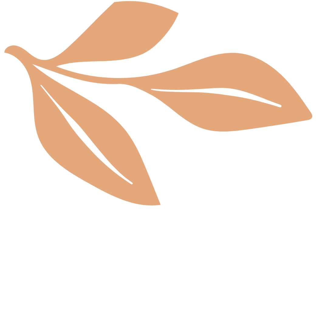 Illustration of a branch with three beige leaves on a black background.