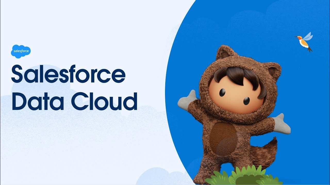 From Data Silos to Customer Insights: How Salesforce Data Cloud Transforms Your Business