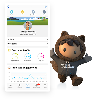 Unleashing the Power of Salesforce on the Go: The Mobile Usage Revolution