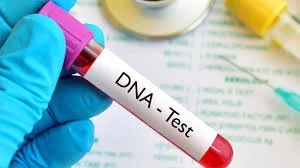 DNA Blood Sample Testing