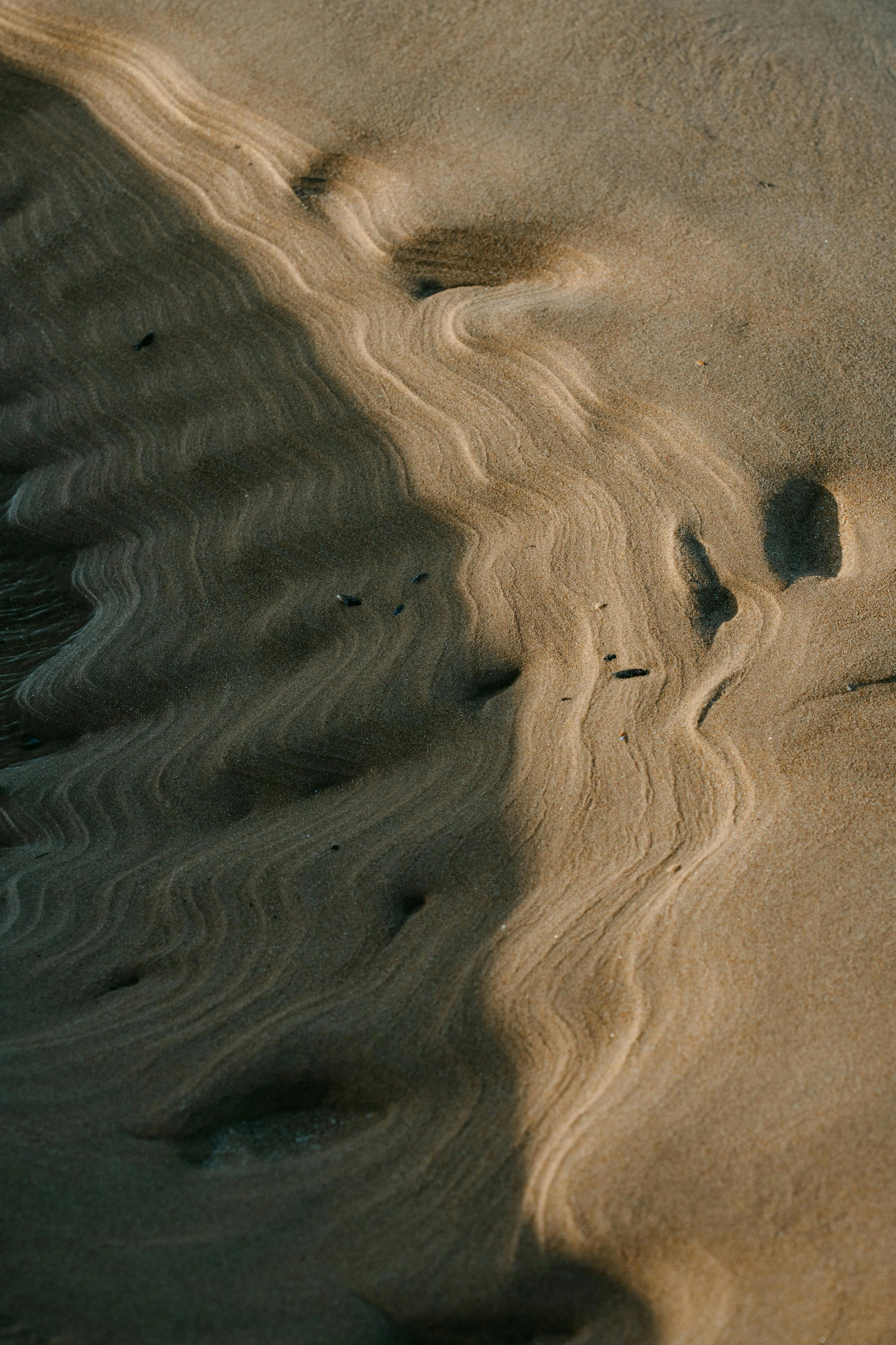 Close-up of wet sand with water ripples, small rocks, and patterns formed by the flow of water, signaling grounded wellness in Oklahoma City