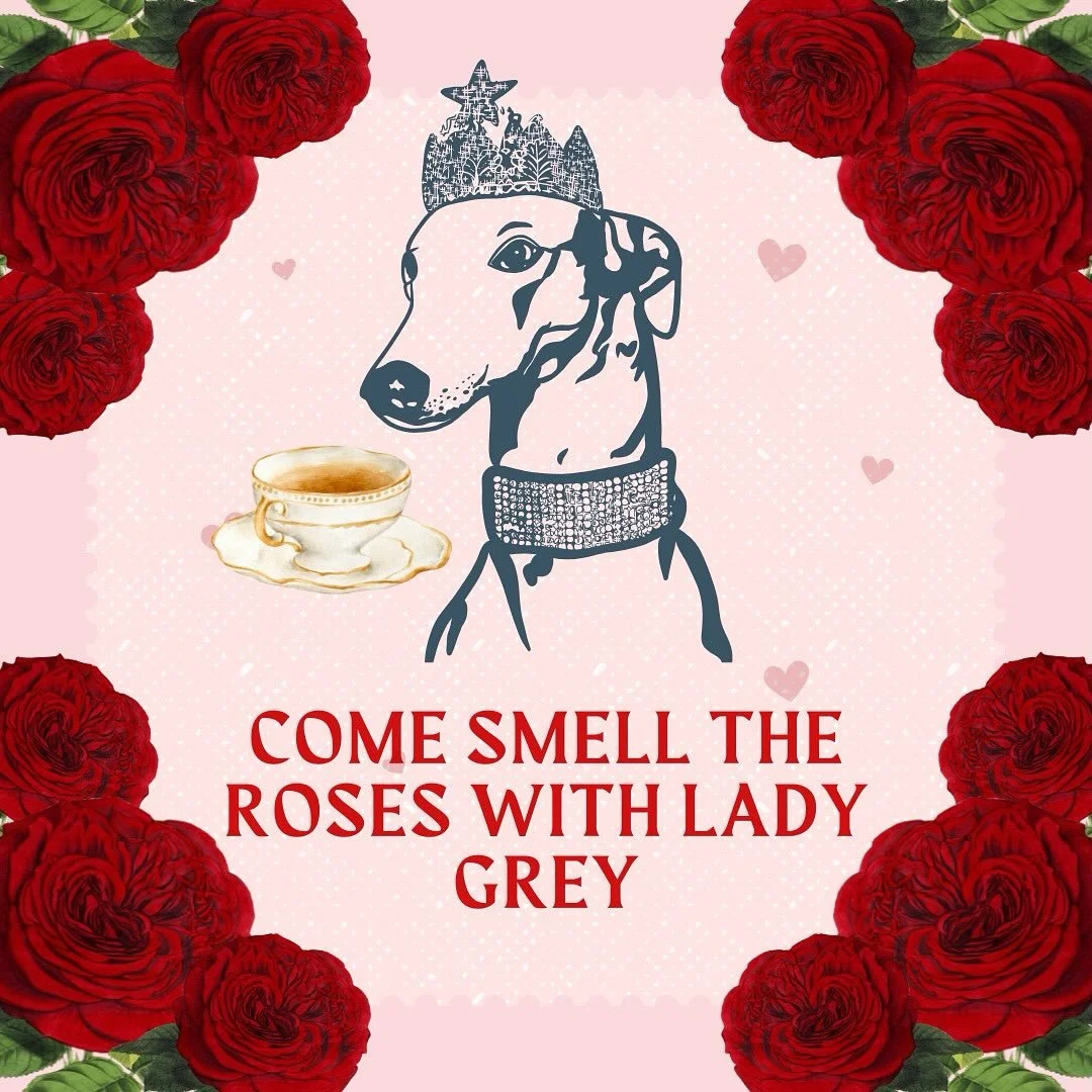 🌹 Hello, dears. Lady Grey here, reminding you to stop and smell the roses (preferably with a comfy stay at Greyhound Inn).

The Texas Rose Festival is coming up October 16&ndash;19, 2025,and we&rsquo;re just a short stroll from the Tyler Rose Museum